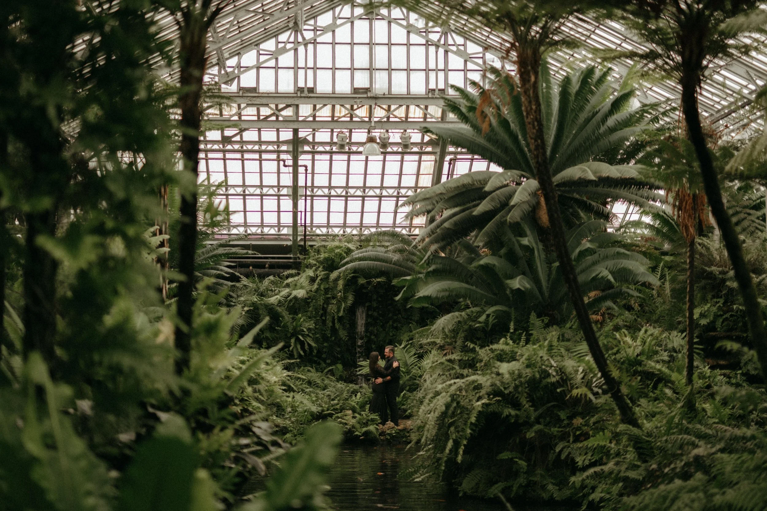 A wide photo of a bride and groom in all black at the Garfield Park Conservatory in Chicago, Illinois. The couple is small in frame, they are facing each other with their arms wrapped around each other. They are framed by greenery and palm trees, and