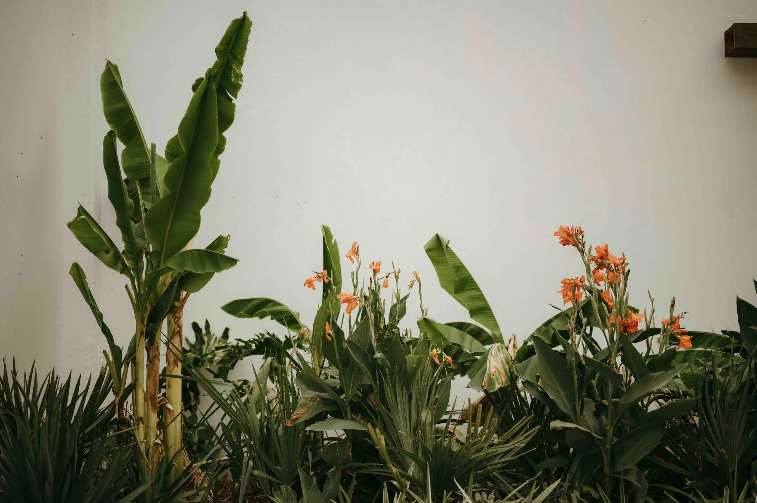 The Plant Jackson wedding, moody Jackson wedding photographer, cinematic Jackson wedding photographer, moody Memphis wedding photographer, cinematic Memphis wedding photographer, Jackson documentary wedding photographer, Memphis documentary wedding