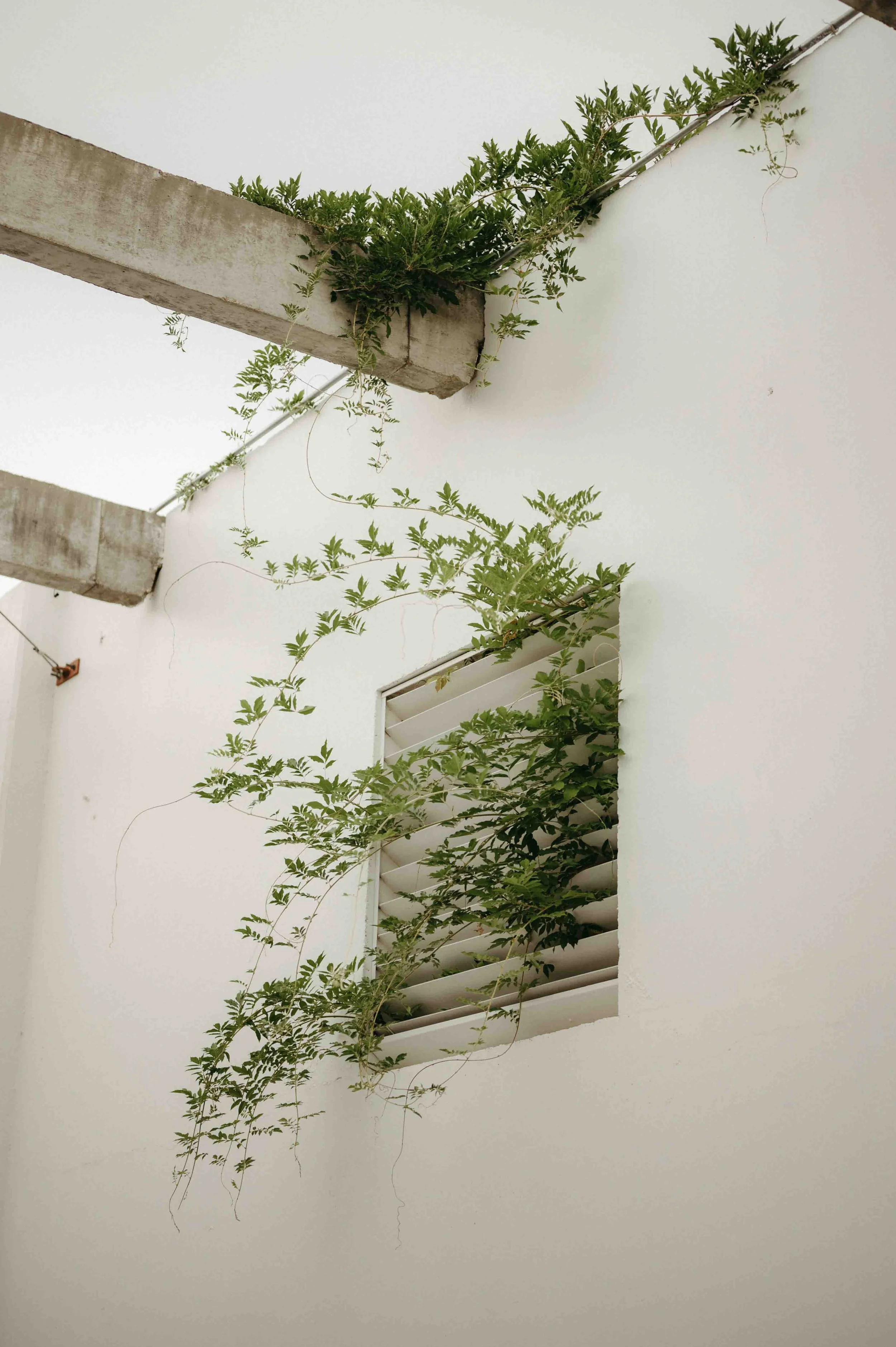 The Plant Jackson wedding, moody Jackson wedding photographer, cinematic Jackson wedding photographer, moody Memphis wedding photographer, cinematic Memphis wedding photographer, Jackson documentary wedding photographer, Memphis documentary wedding