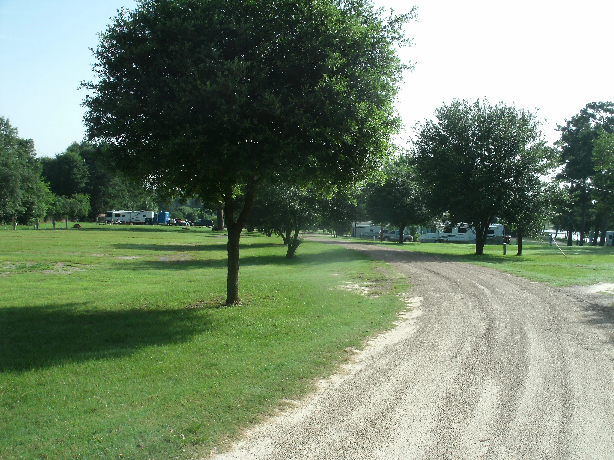Piney Point Living photo 4