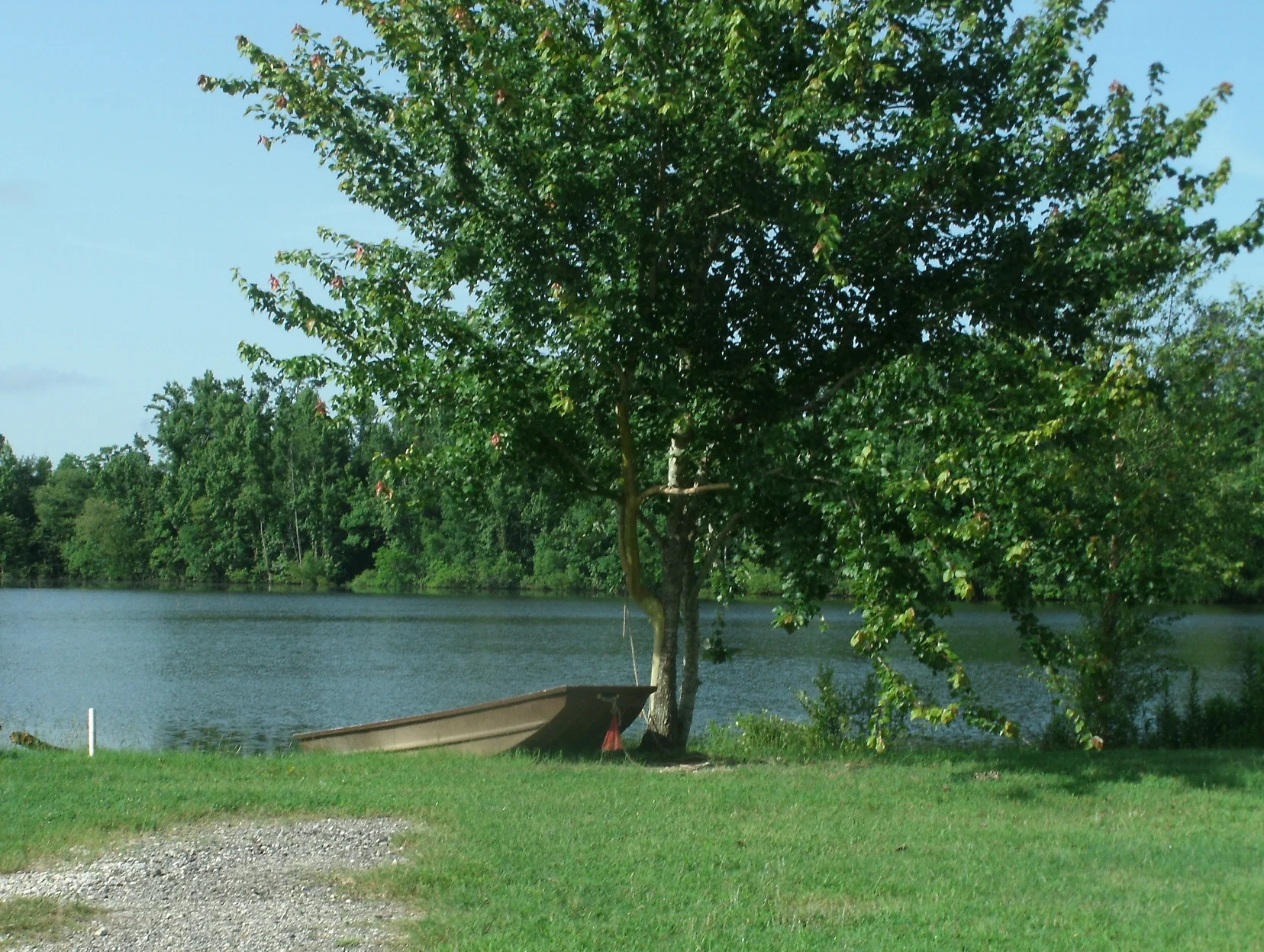 Piney Point Living photo 2