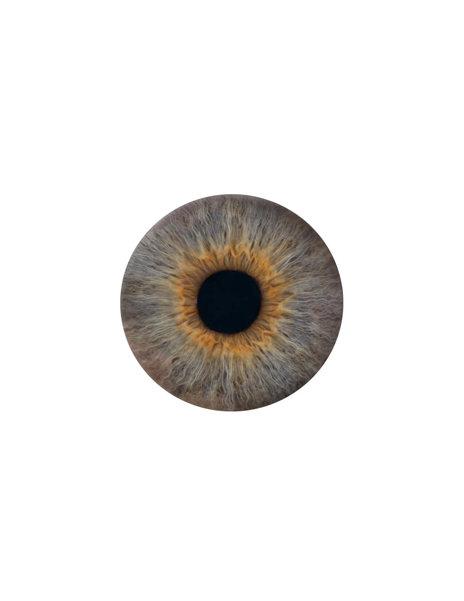 ©Heather M. Briggs_Pupils (1 of 5).jpg