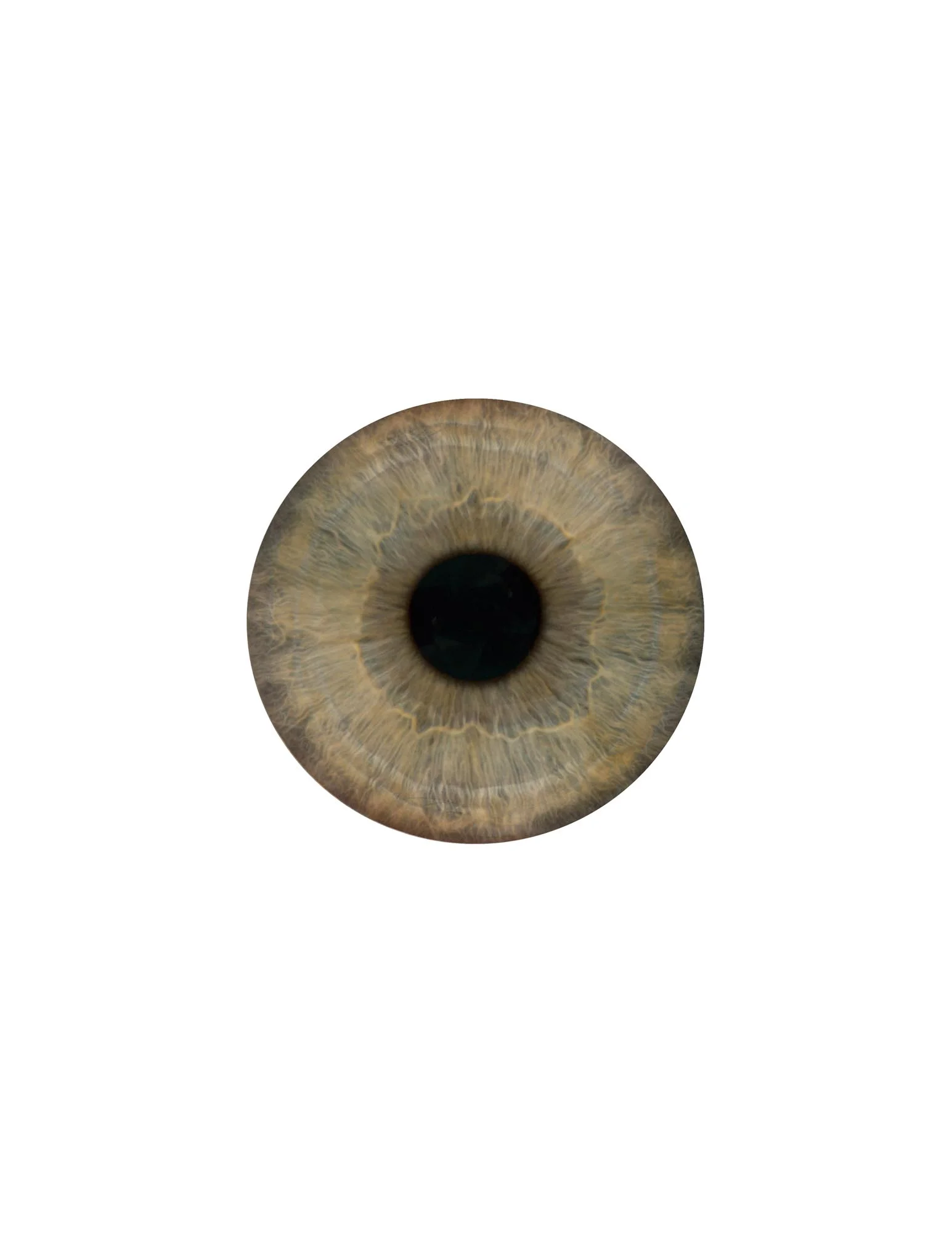 ©Heather M. Briggs_Pupils (2 of 5).jpg