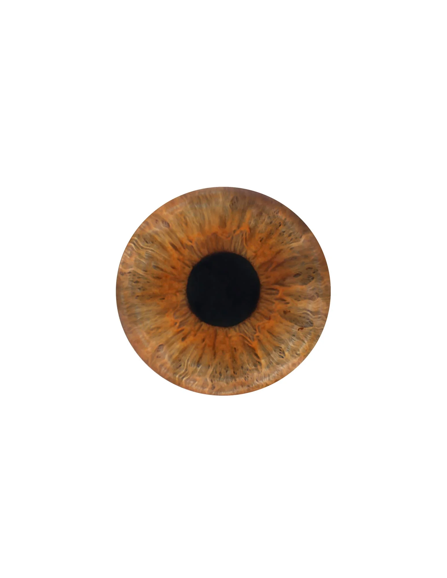 ©Heather M. Briggs_Pupils (3 of 5).jpg