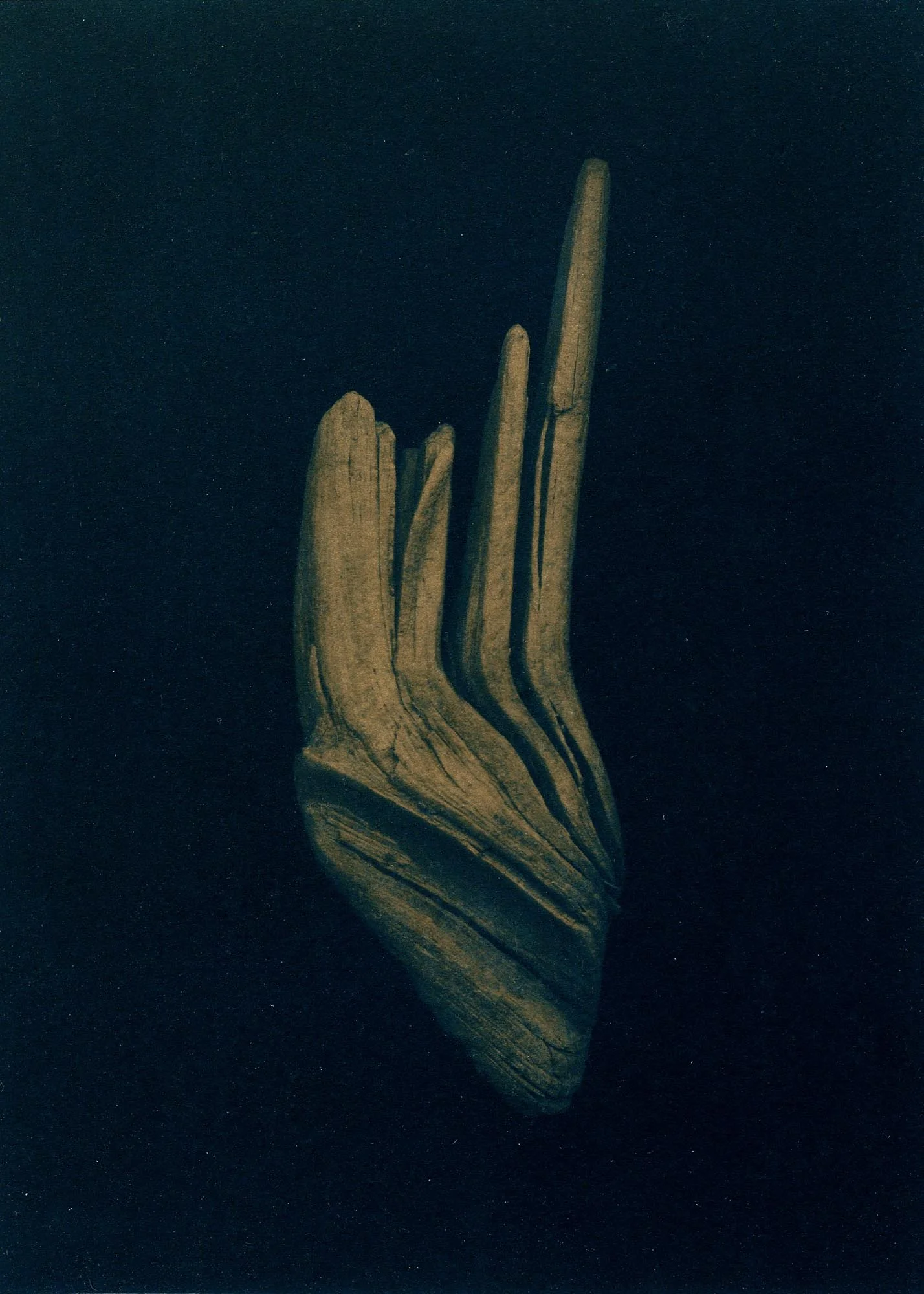 ©Heather M. Briggs_Heather M. Briggs_Alternative Processes 2017 (15 of 35).jpg