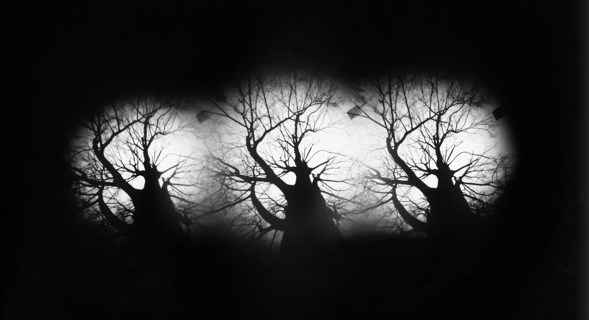 ©Heather M. Briggs_Heather M. Briggs_Alternative Processes 2017 (32 of 35).jpg