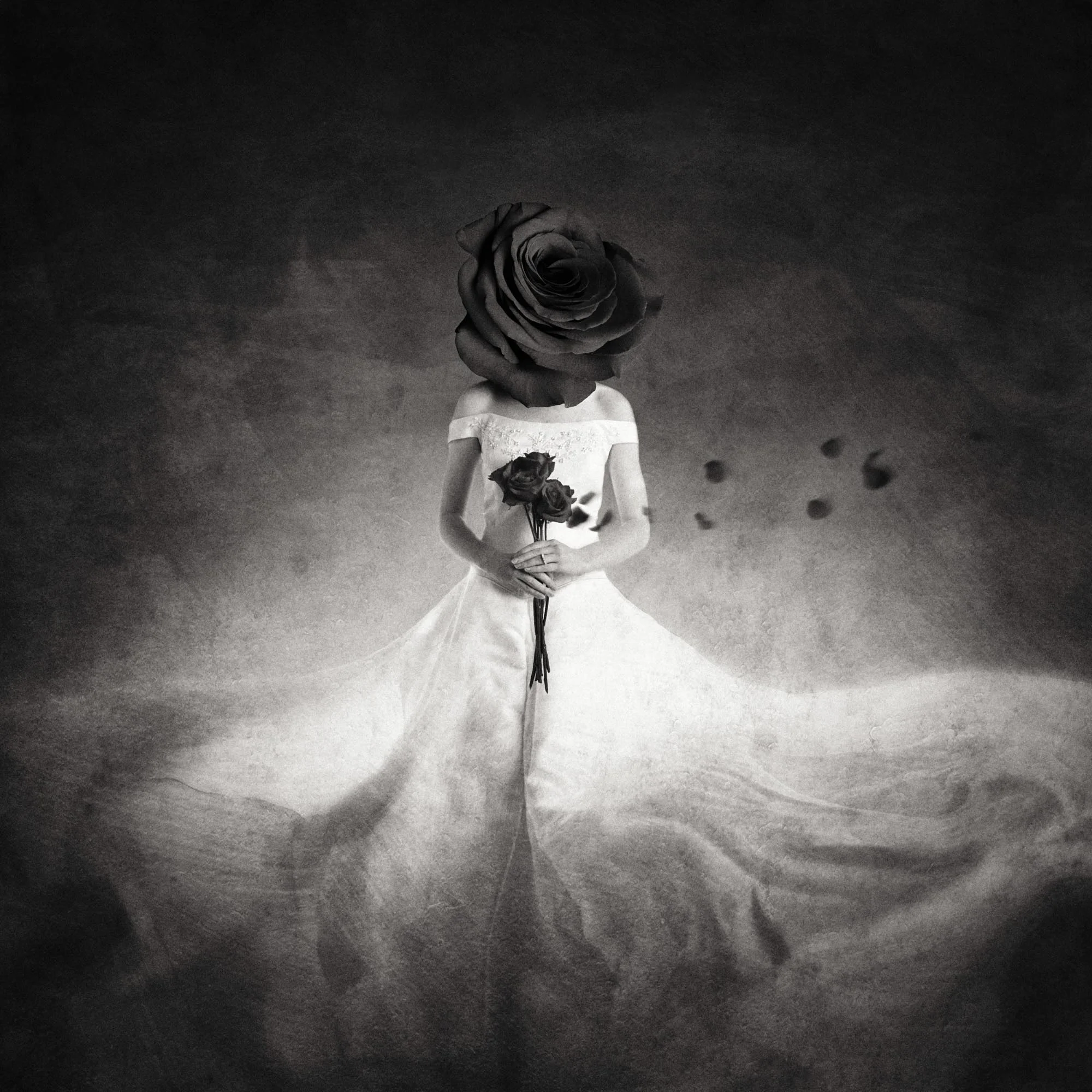 ©Heather M. Briggs_Experimentation Set 1 (8 of 14).jpg
