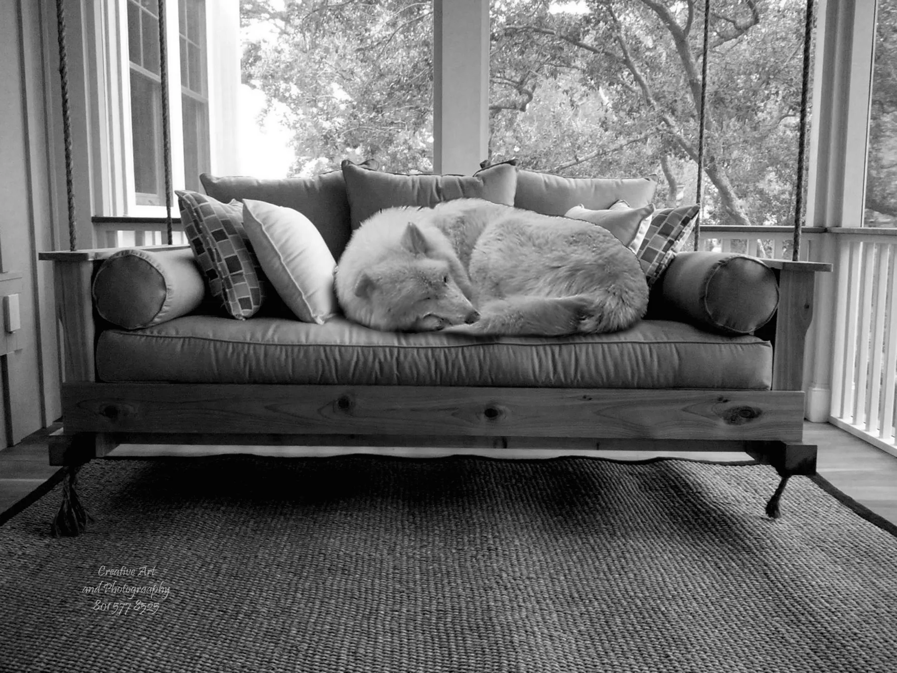 wuff on porch swing.jpg