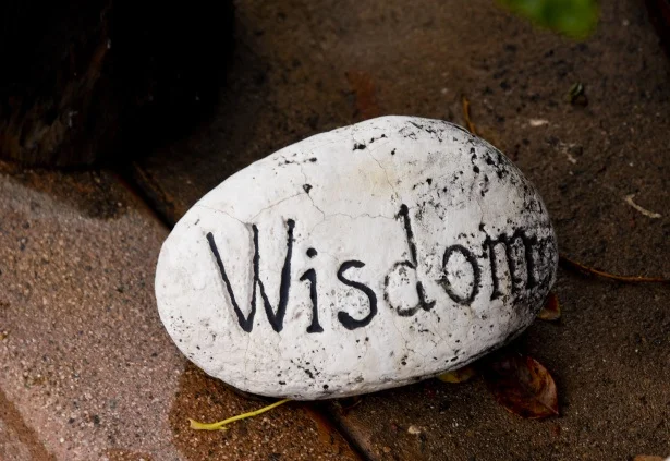 wisdom.jpg