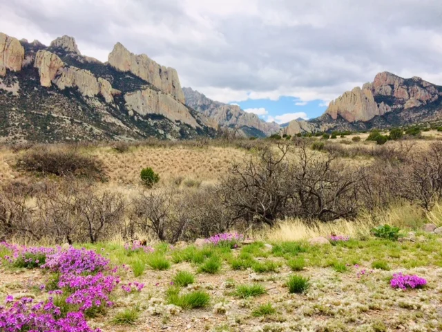 Portal AZ Photo by Karen Hayes.jpg