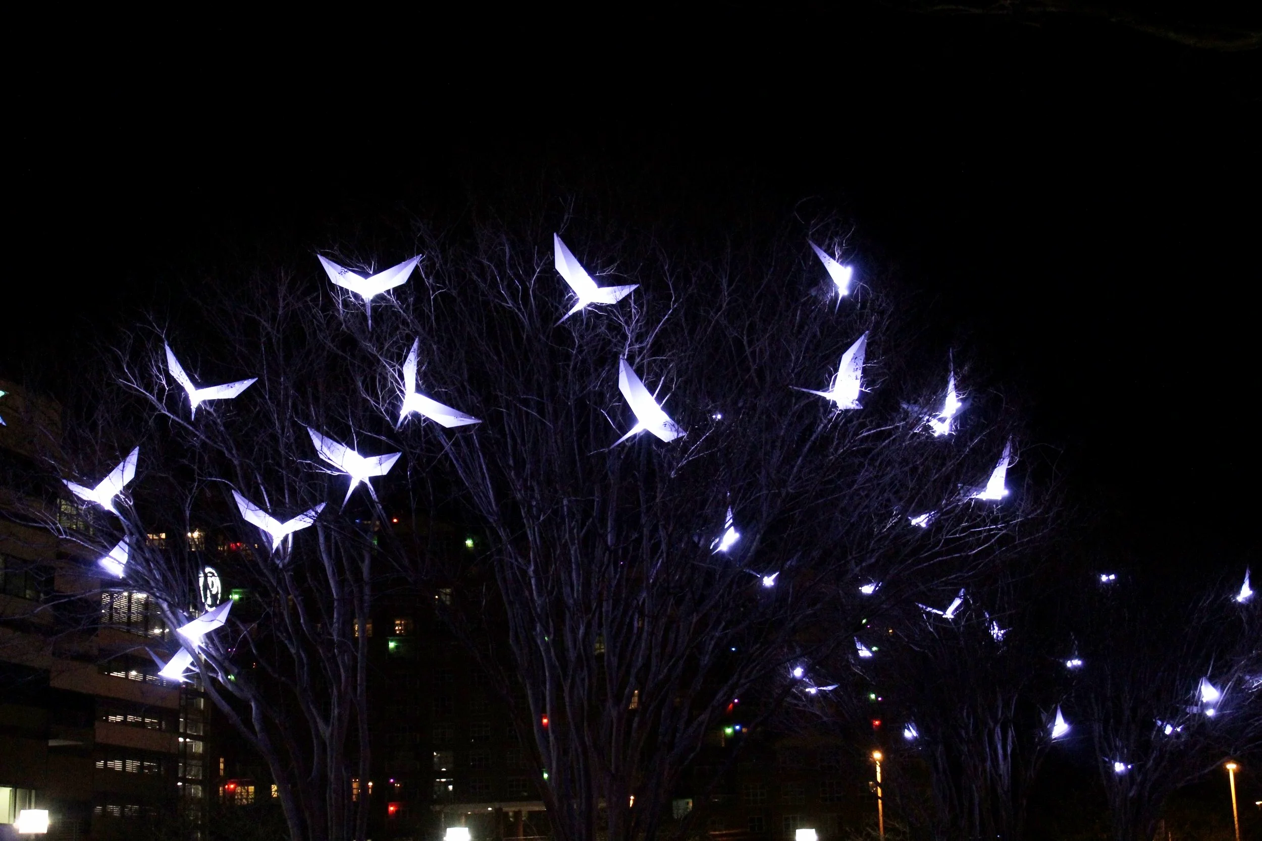 Light City: 