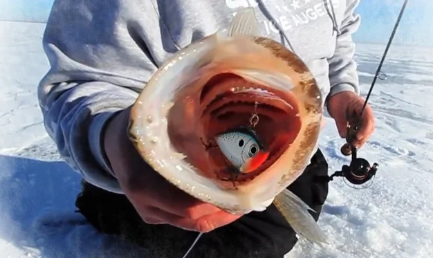 winter-deep-water-tactics-with-the-rippin-rap.jpg