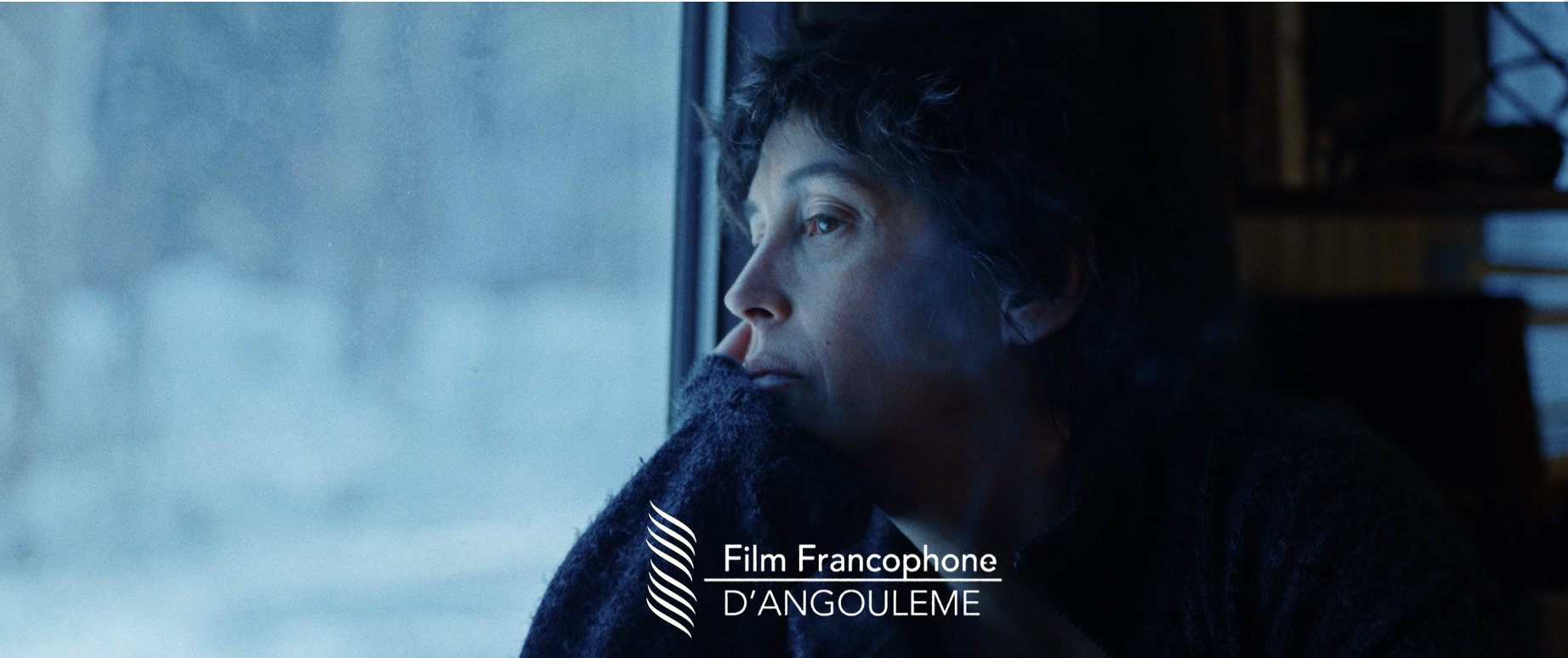    La Tête froide  de Stéphane Marchetti  