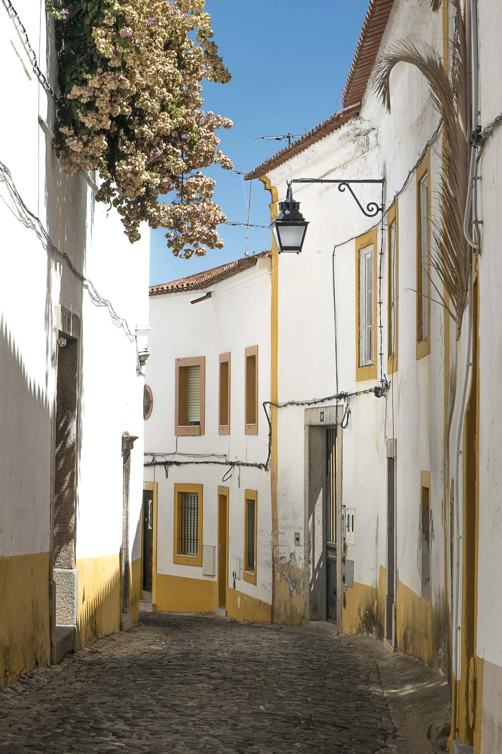 evora