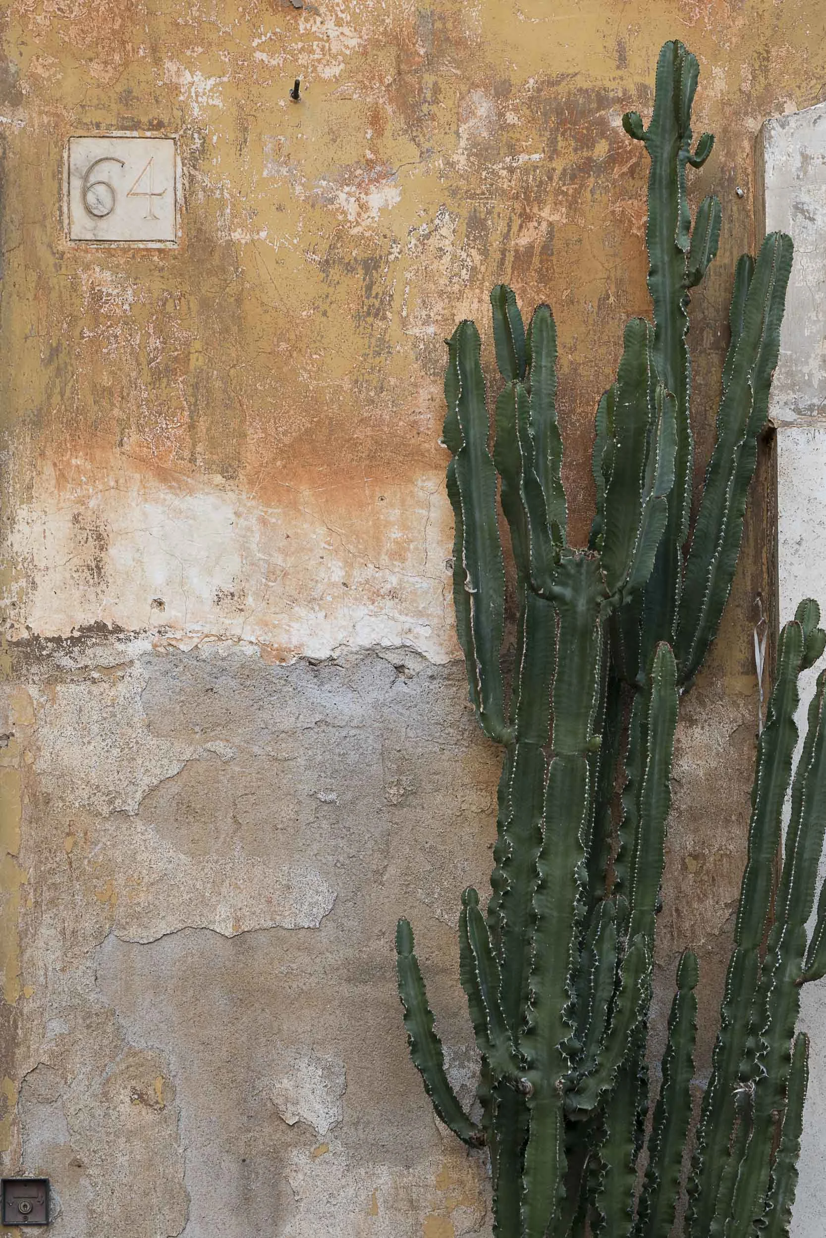 rome