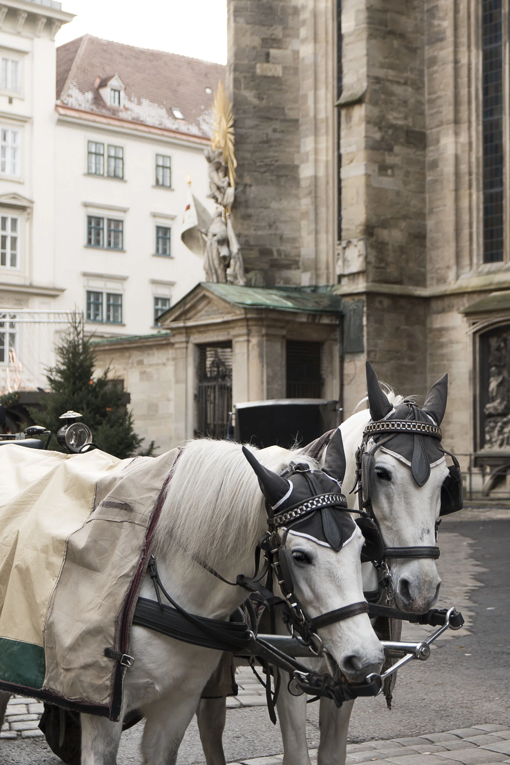 vienna, austria