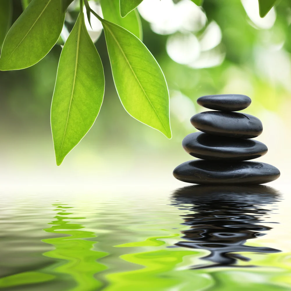 meditate.jpg
