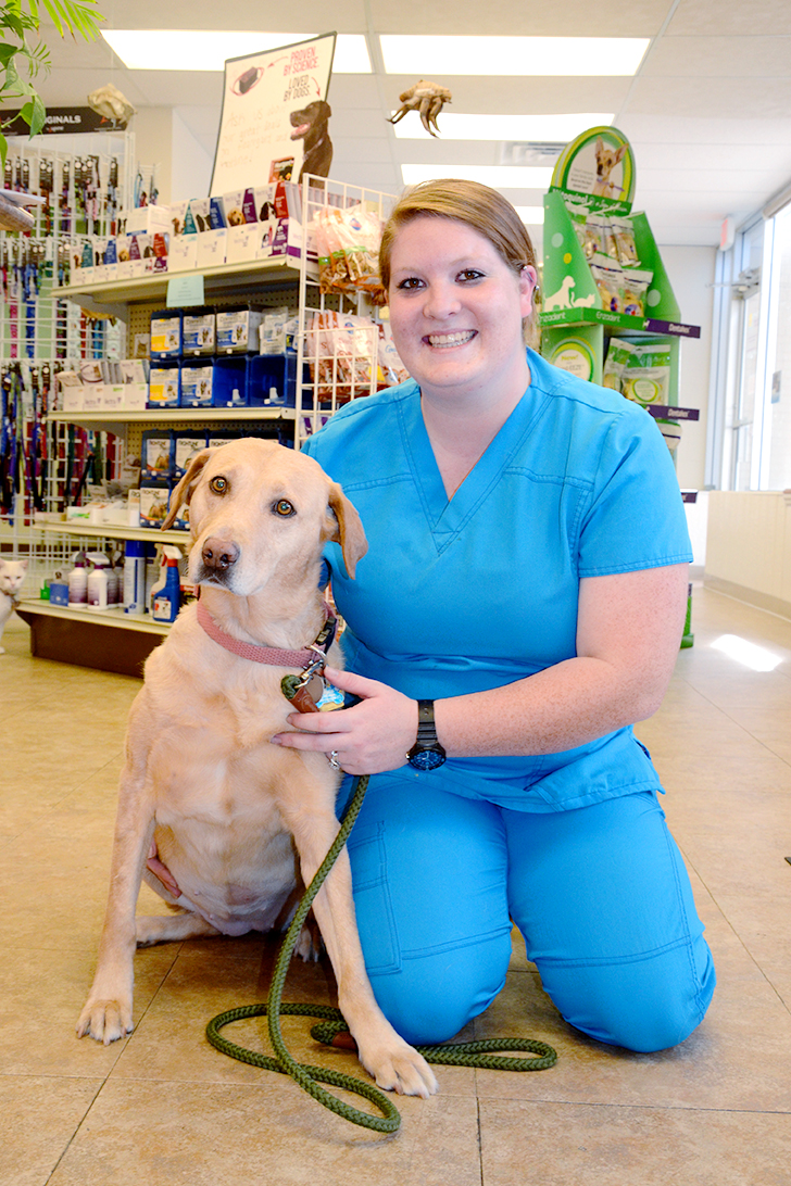 About Us — Westfield Small Animal Clinic