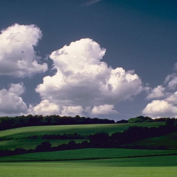 Swelling Cumulus.jpg
