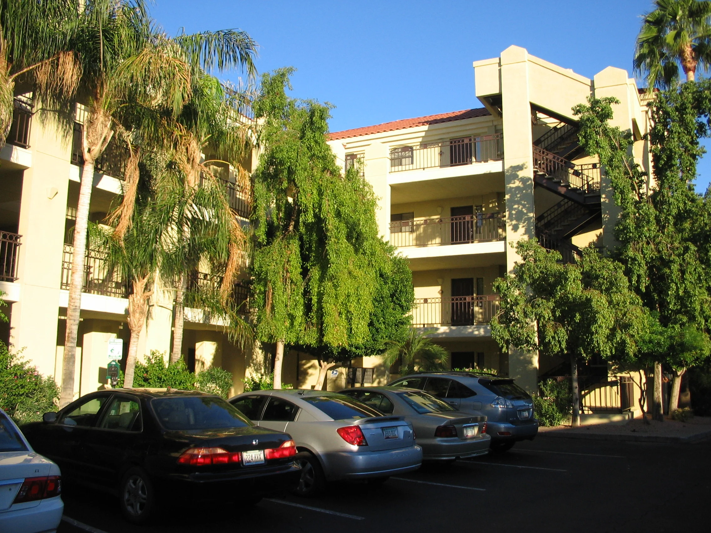 IMG_2153 - Copy - Copy - Copy.JPG