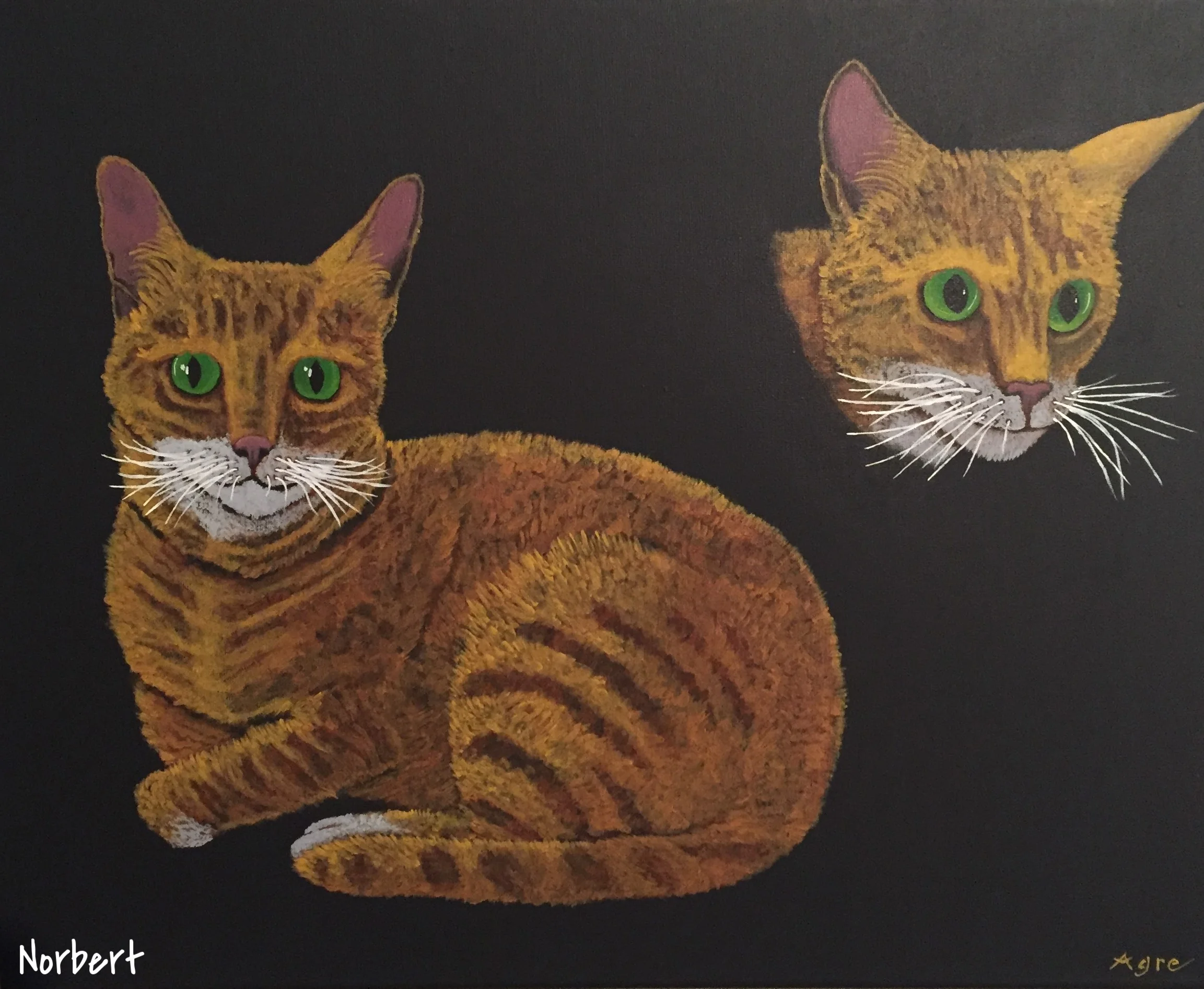 Norbert.JPG