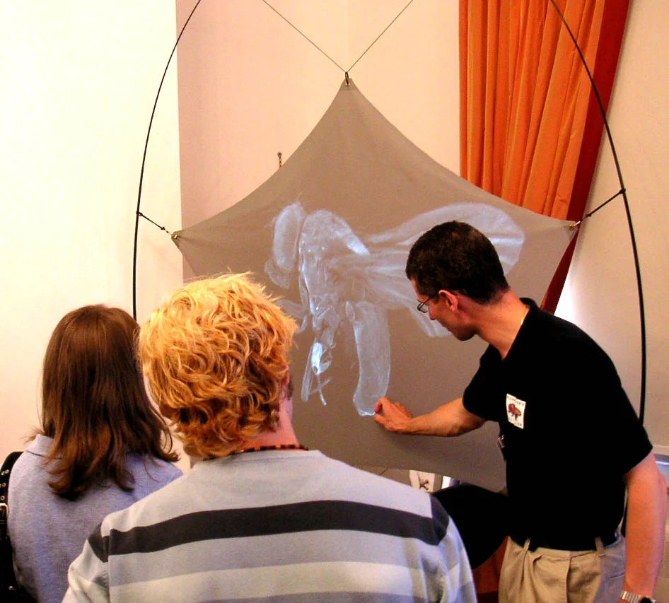 Investigating Alzheimer's disease, using fruit flies