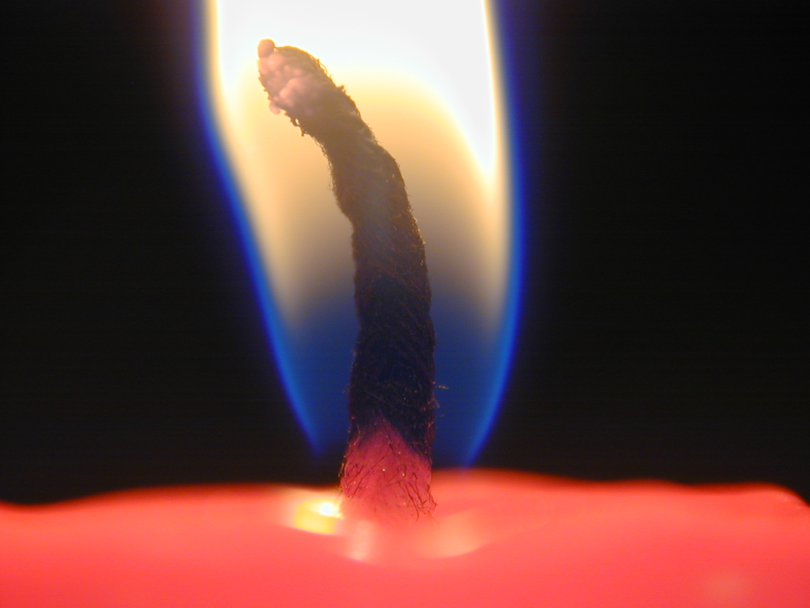 I took this photograph by the light of the candle flame, without using flash. I also kept the brightest part of the flame out of sight, above the field of view. So here, the camera's automatic metering has revealed the beautiful blue glow where oxygen-rich air flows into the base of the flame. This is the hottest part of the flame. Higher up, the incandescent soot particles are increasingly starved of oxygen. Again, this blue area is a hollow shell surrounding unburned gas. It is easy to see it by eye, simply by looking closely at a candle flame.