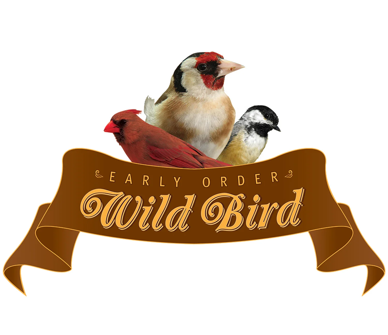 SFS-WB-Logo.jpg