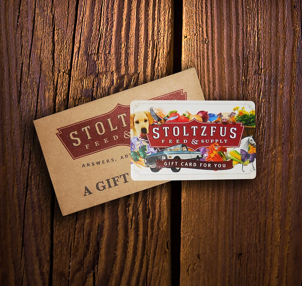 SFS-giftcard.jpg