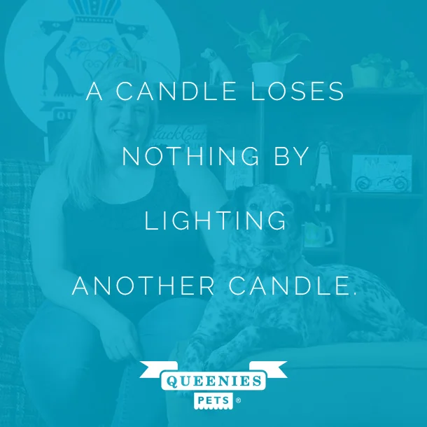#1-Queenies-Pets-Website-Quote.jpg