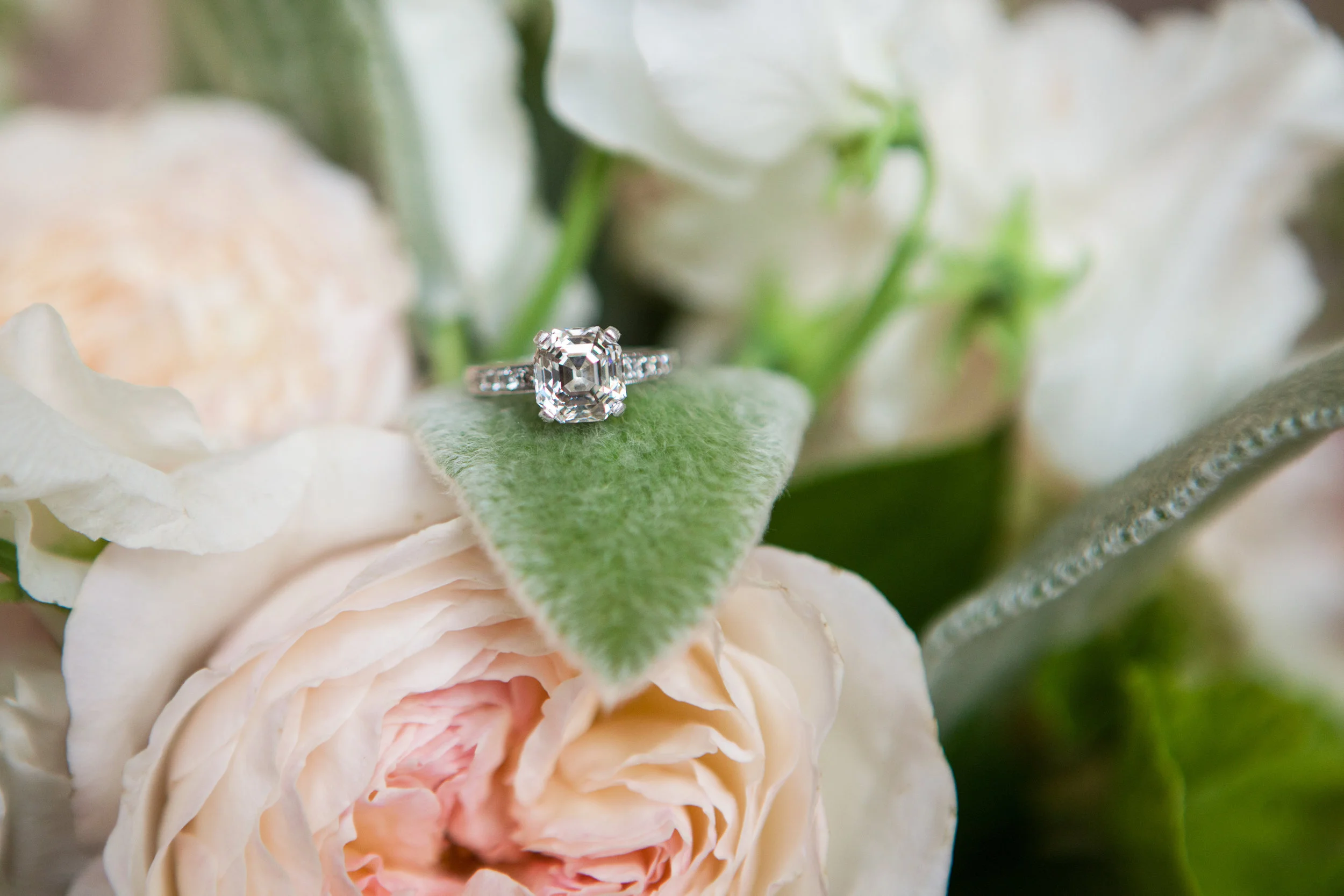 *Photo Content Wedding0041.jpg