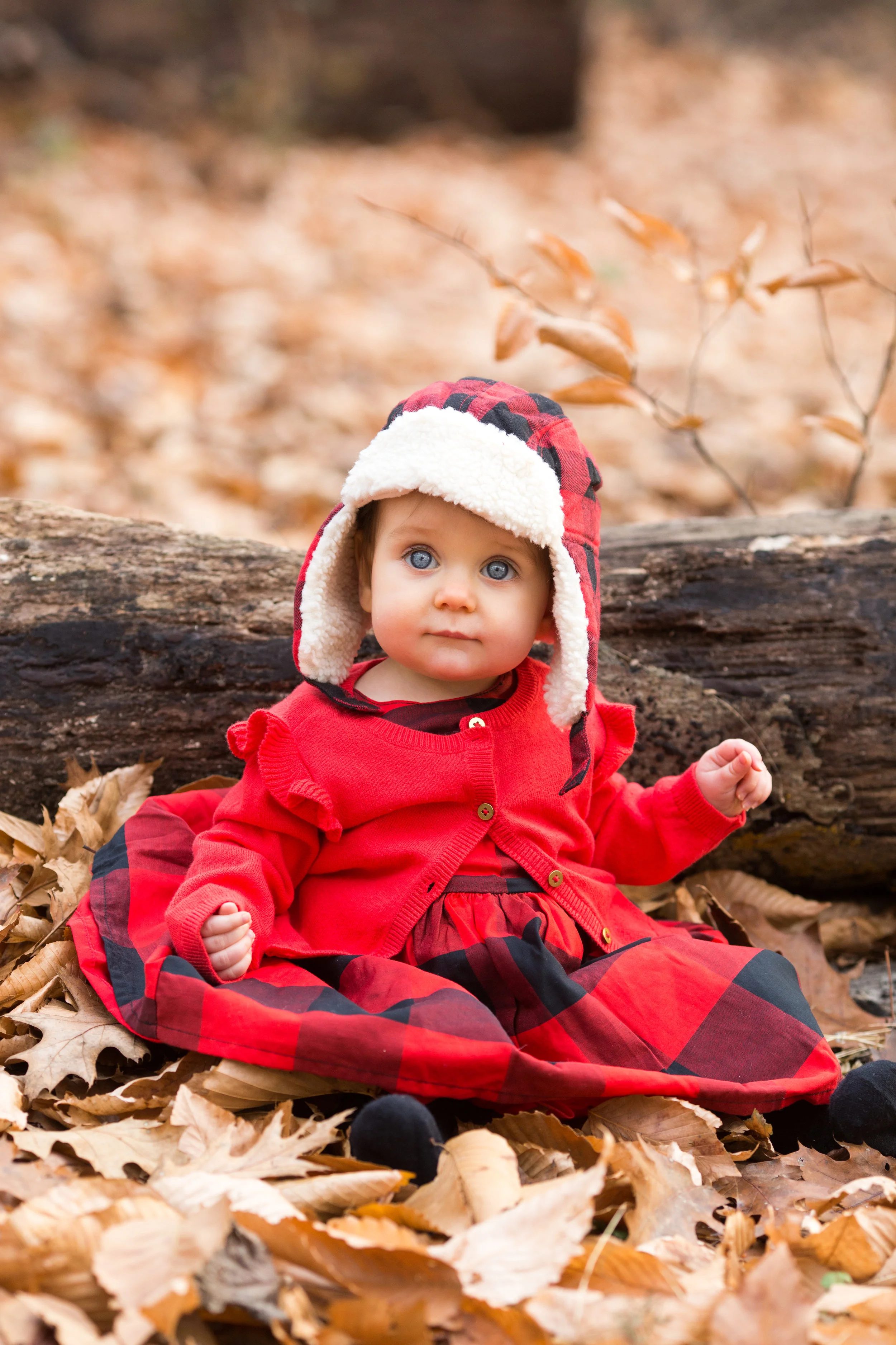 Felicity-0001.jpg