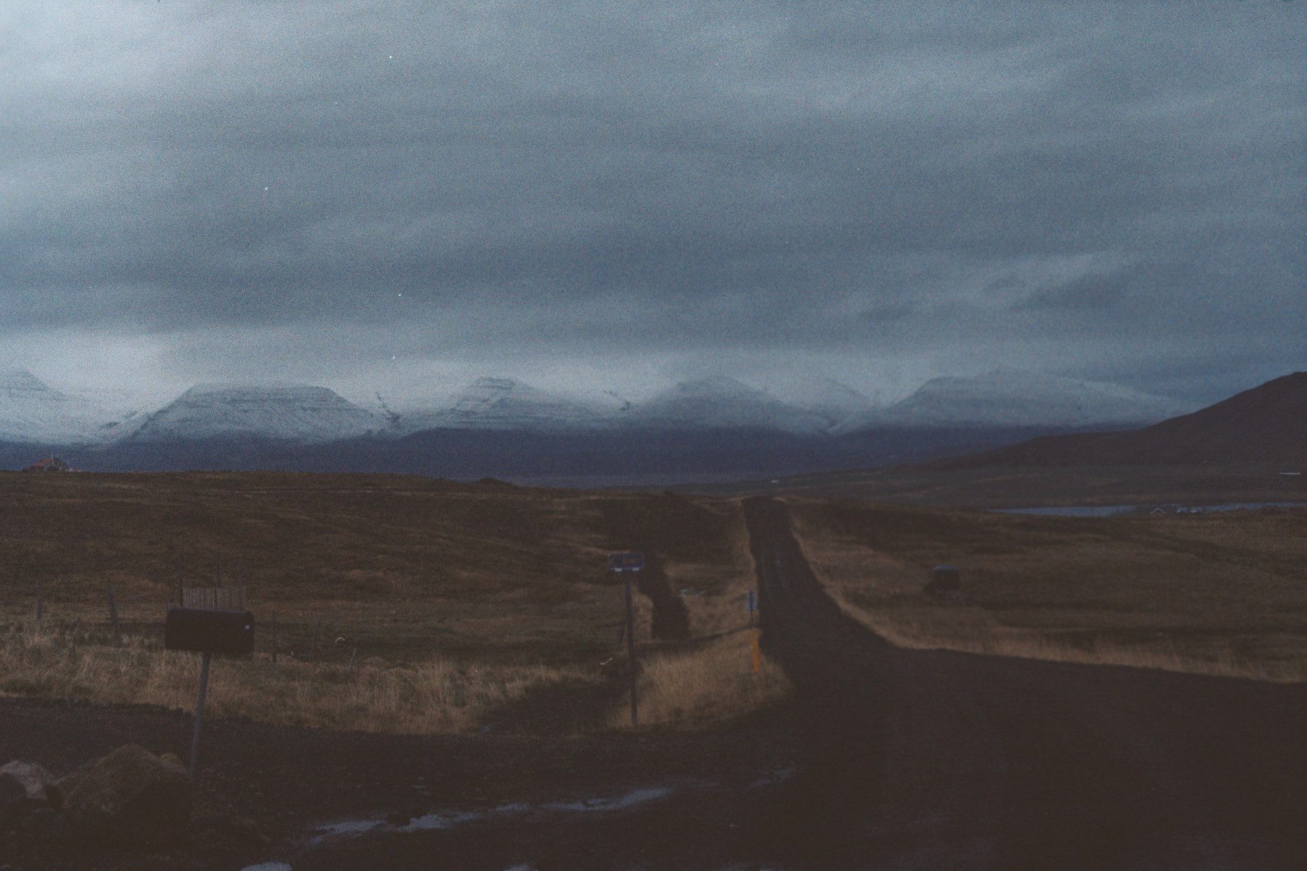 The road.