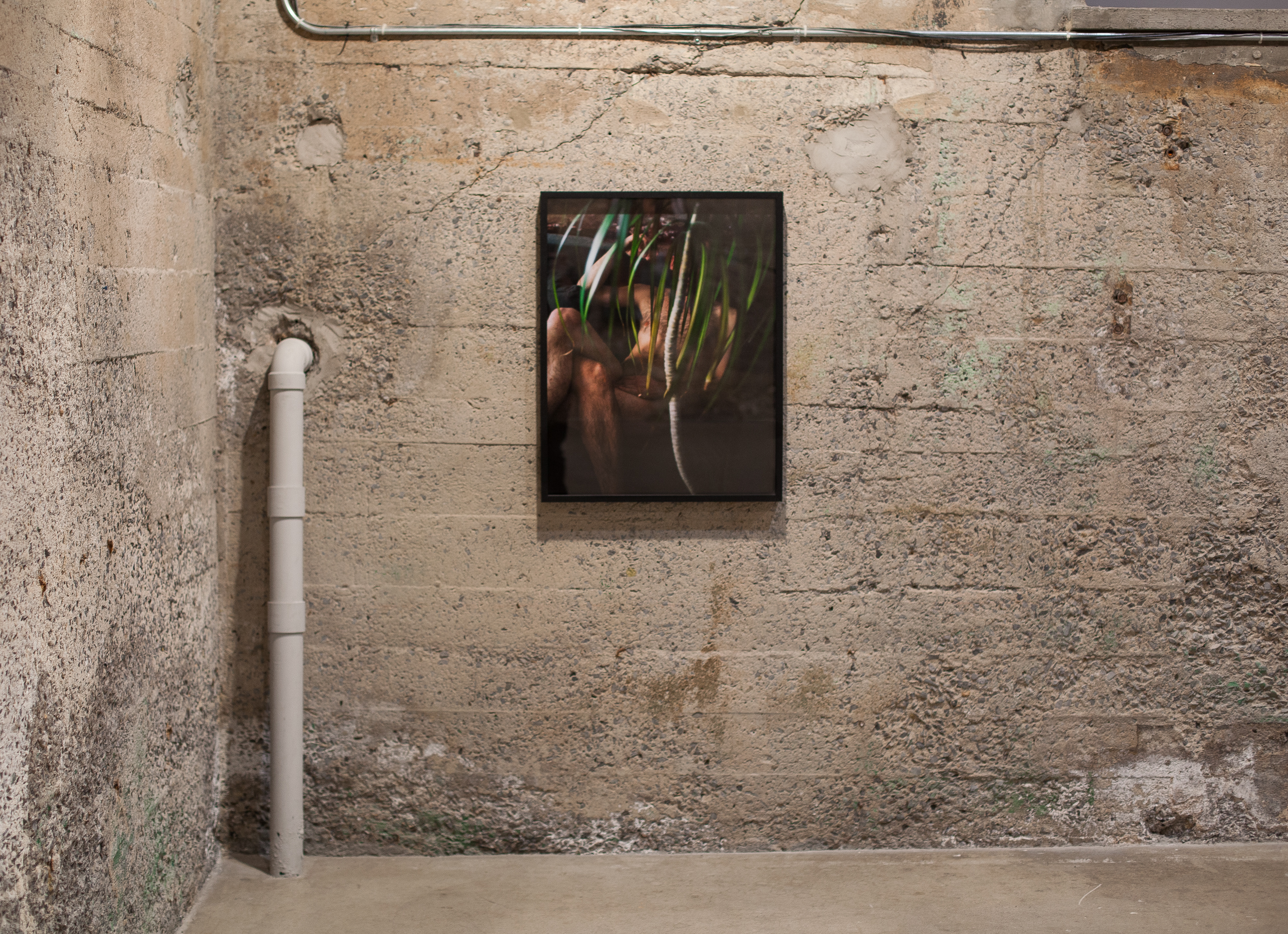 Parisian Laundry Show-2.jpg