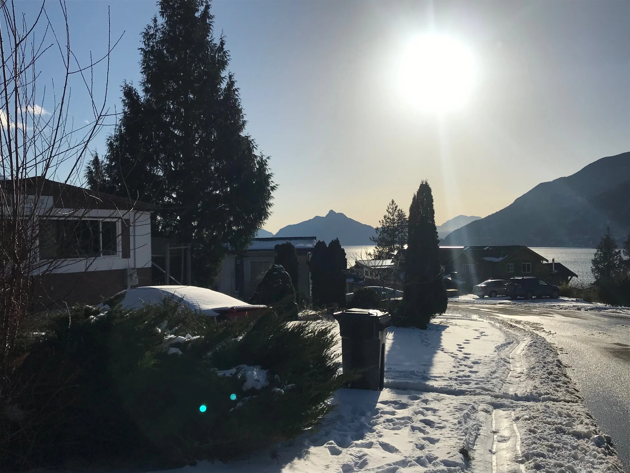 VIEW FROM FRONT OF TRAILER YARD.jpg