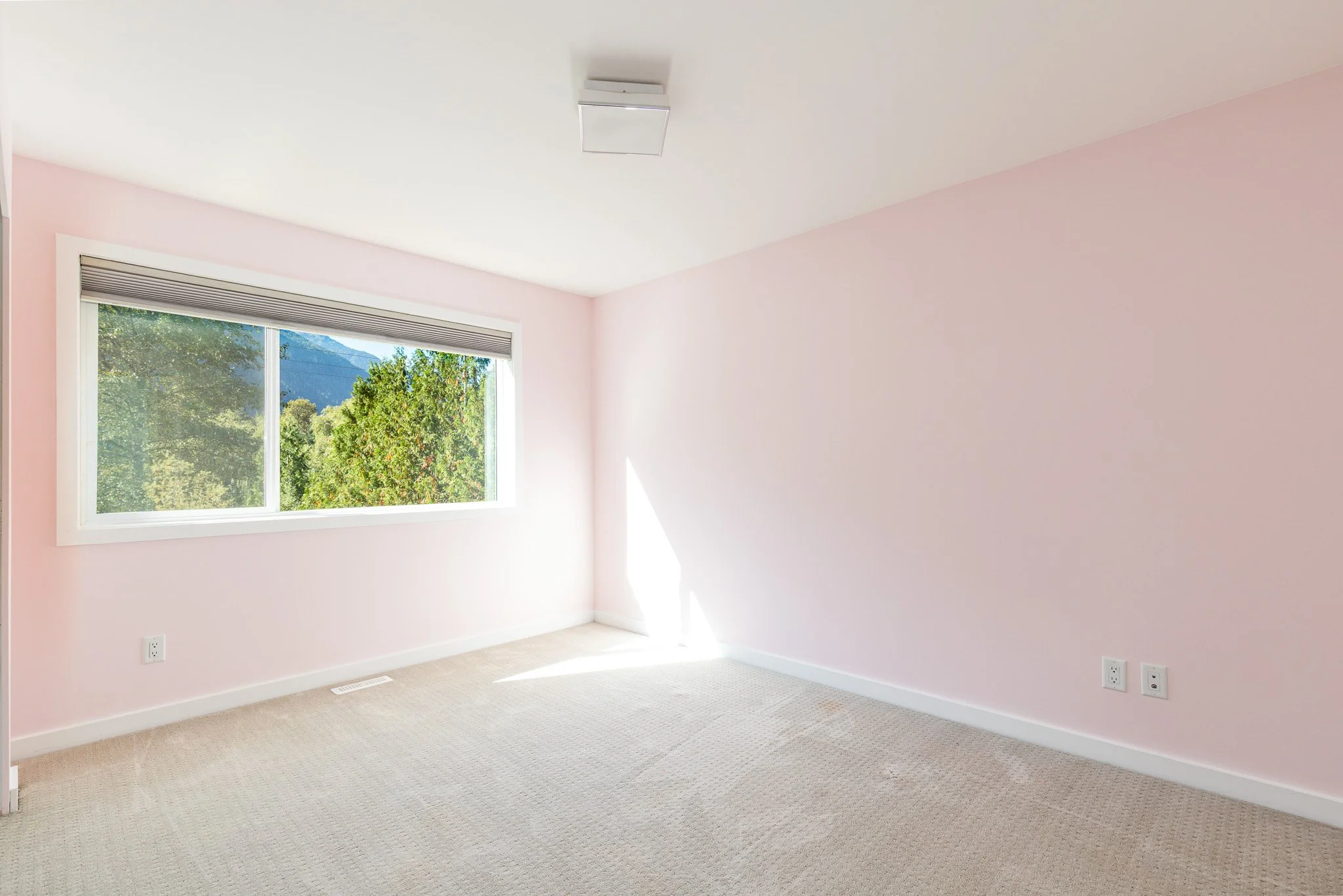 5-41488 Brennan rd-10.jpg