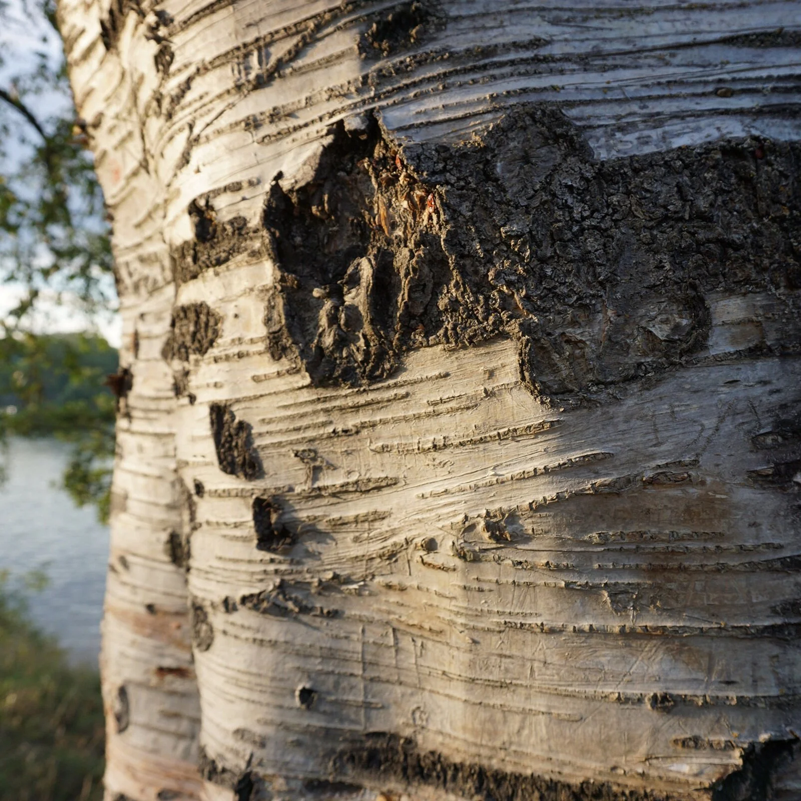NET ZERO ENERGY ART STUDIO