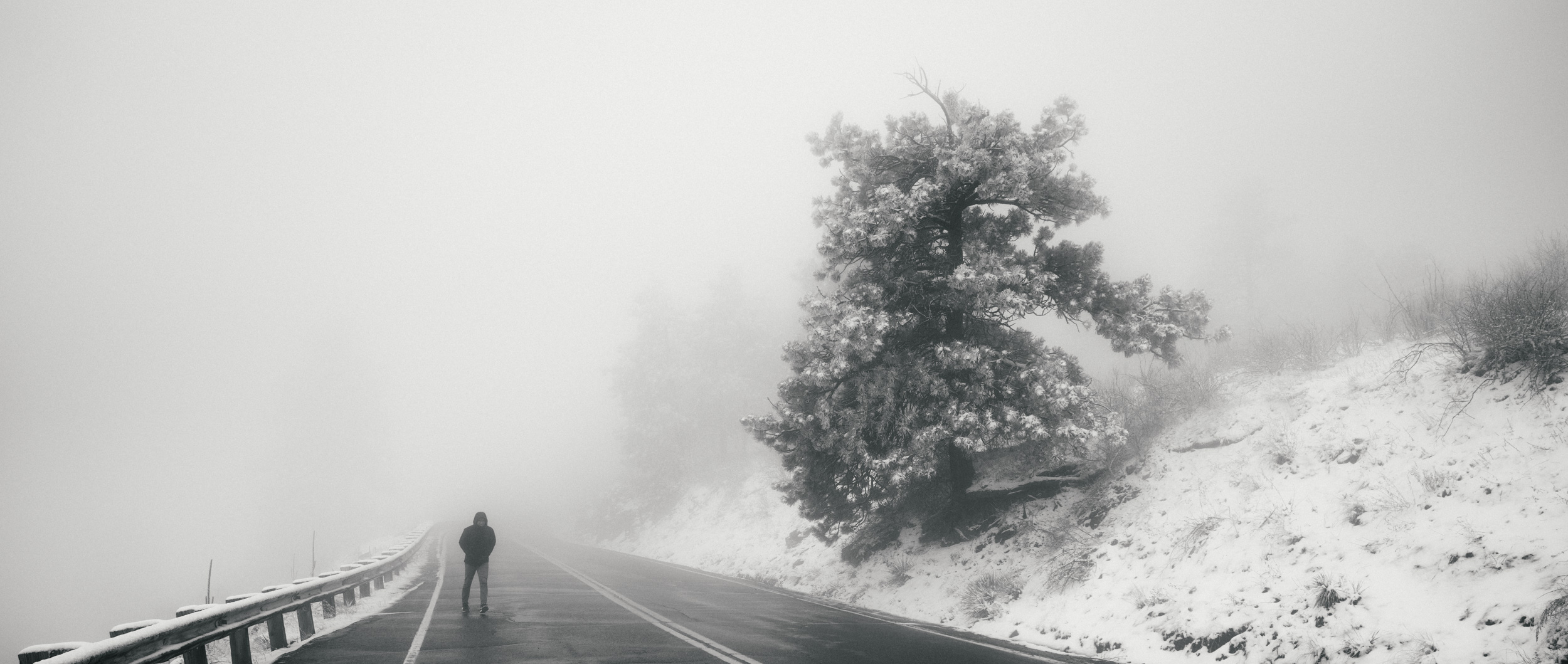1807_landscapes_0122.jpg