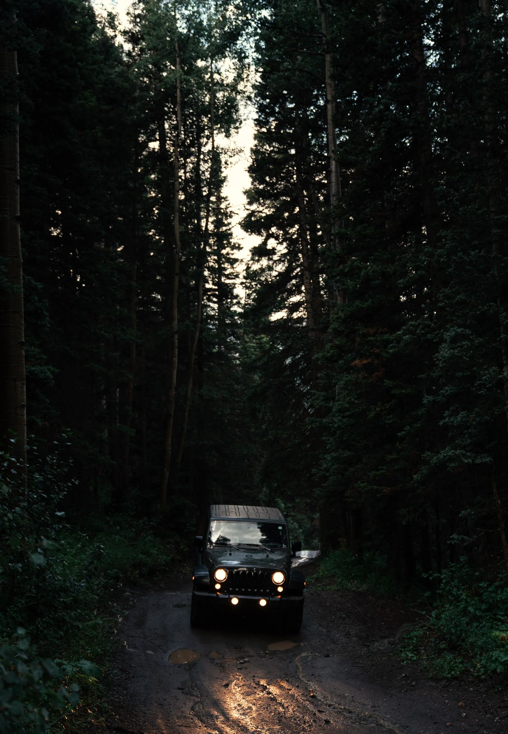 2604_outdoors_0408.jpg