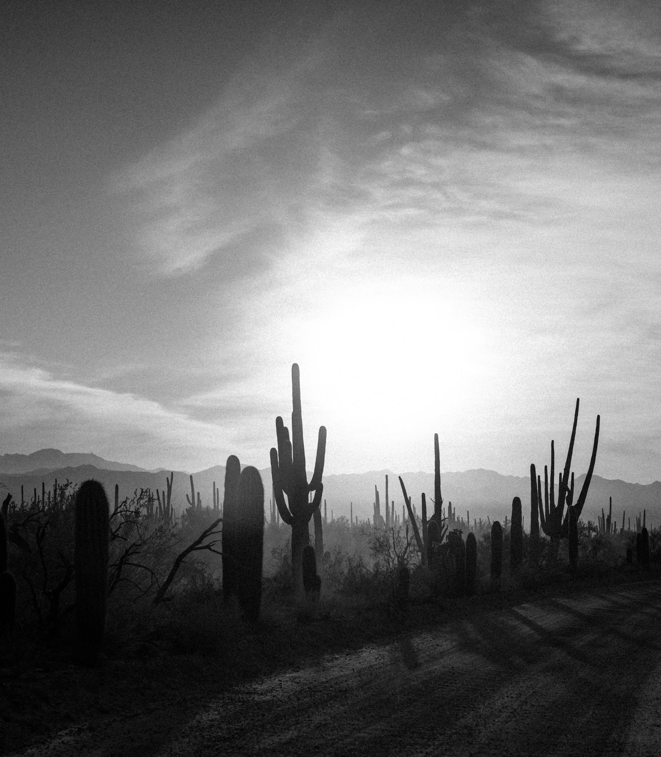 2604_outdoors_0440.jpg