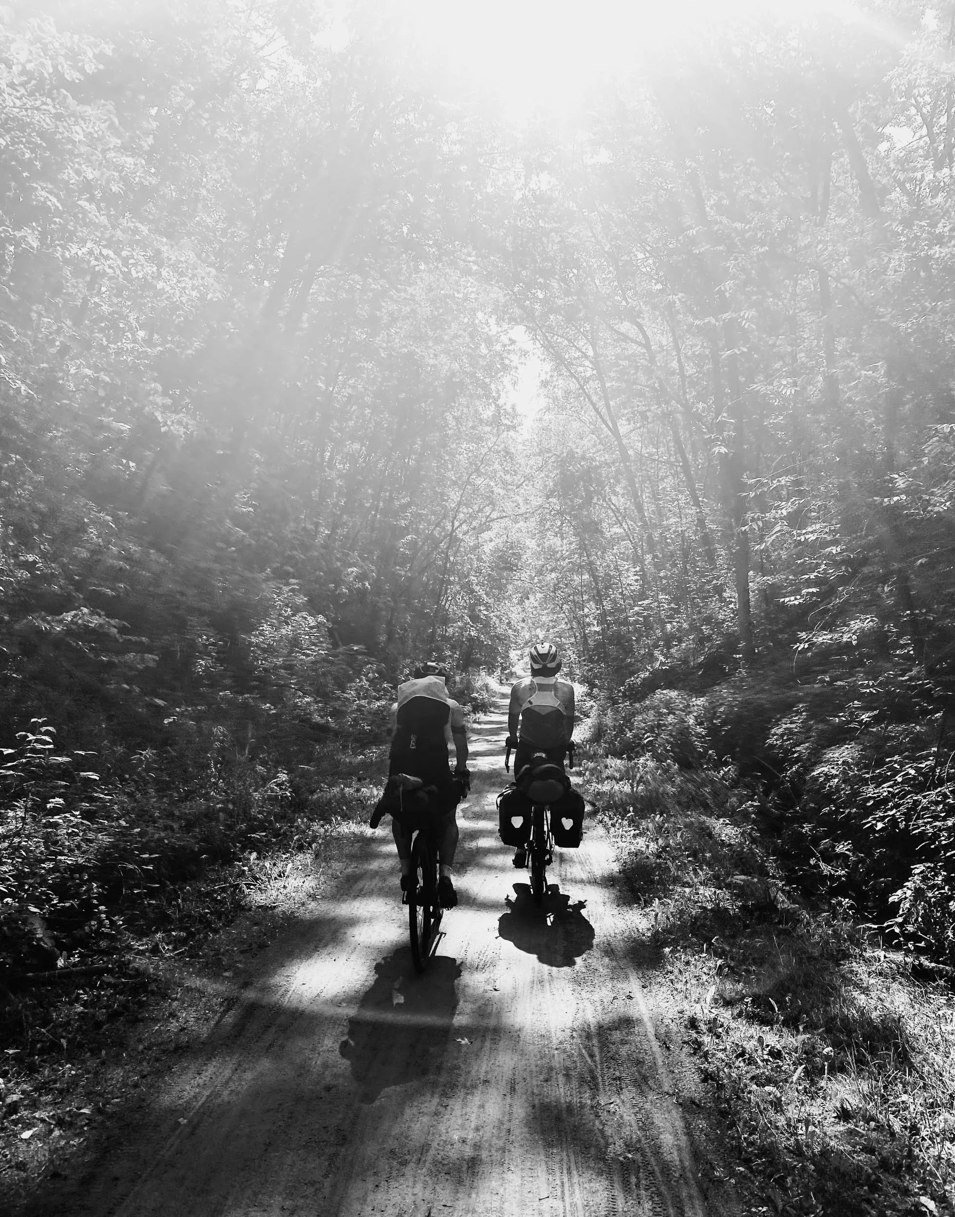 2604_outdoors_0460.jpg
