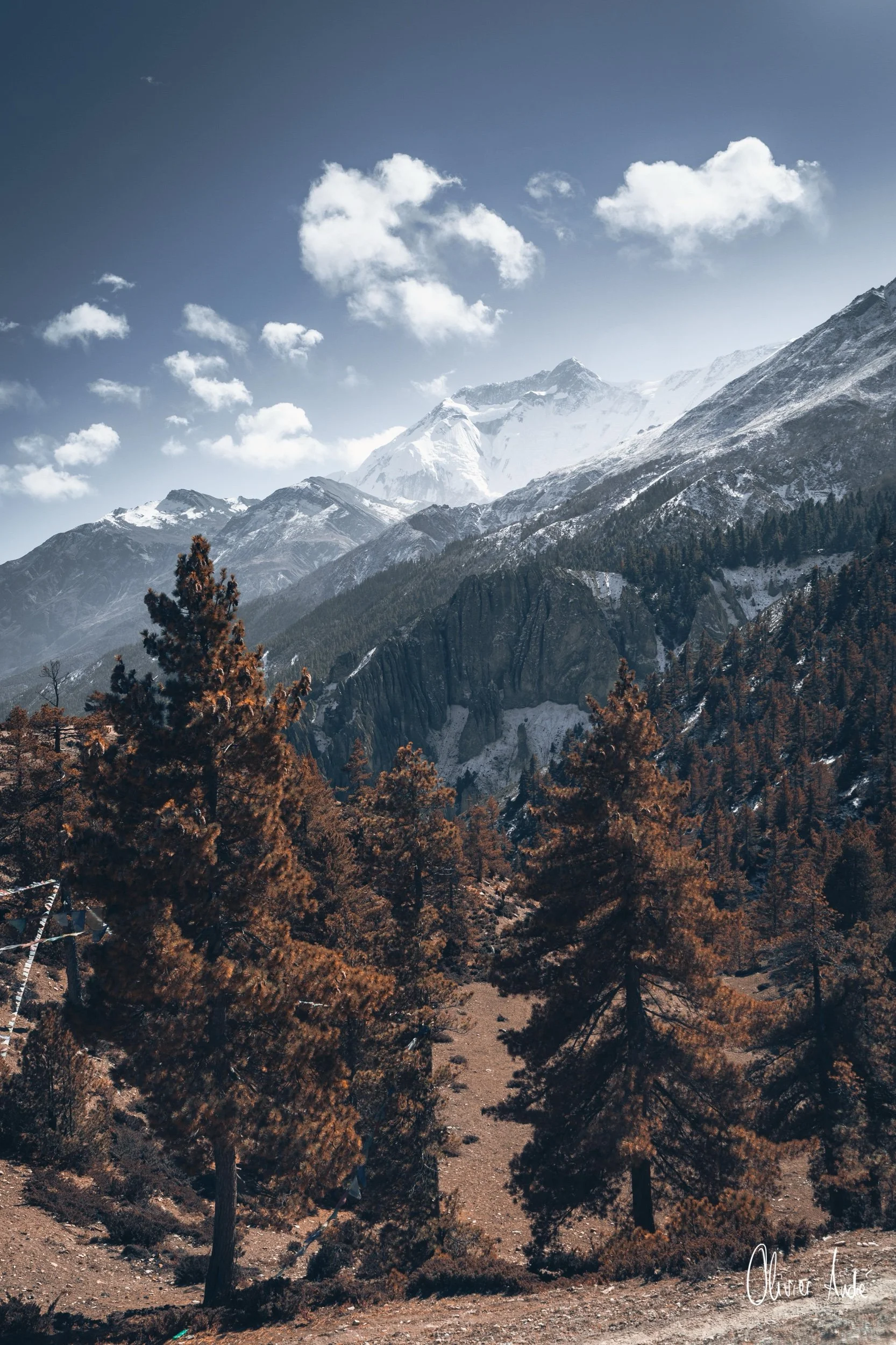 sans titre-3444.jpeg