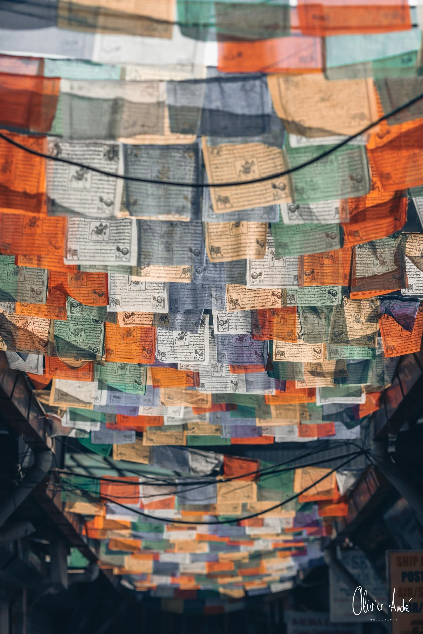 sans titre-5683.jpeg