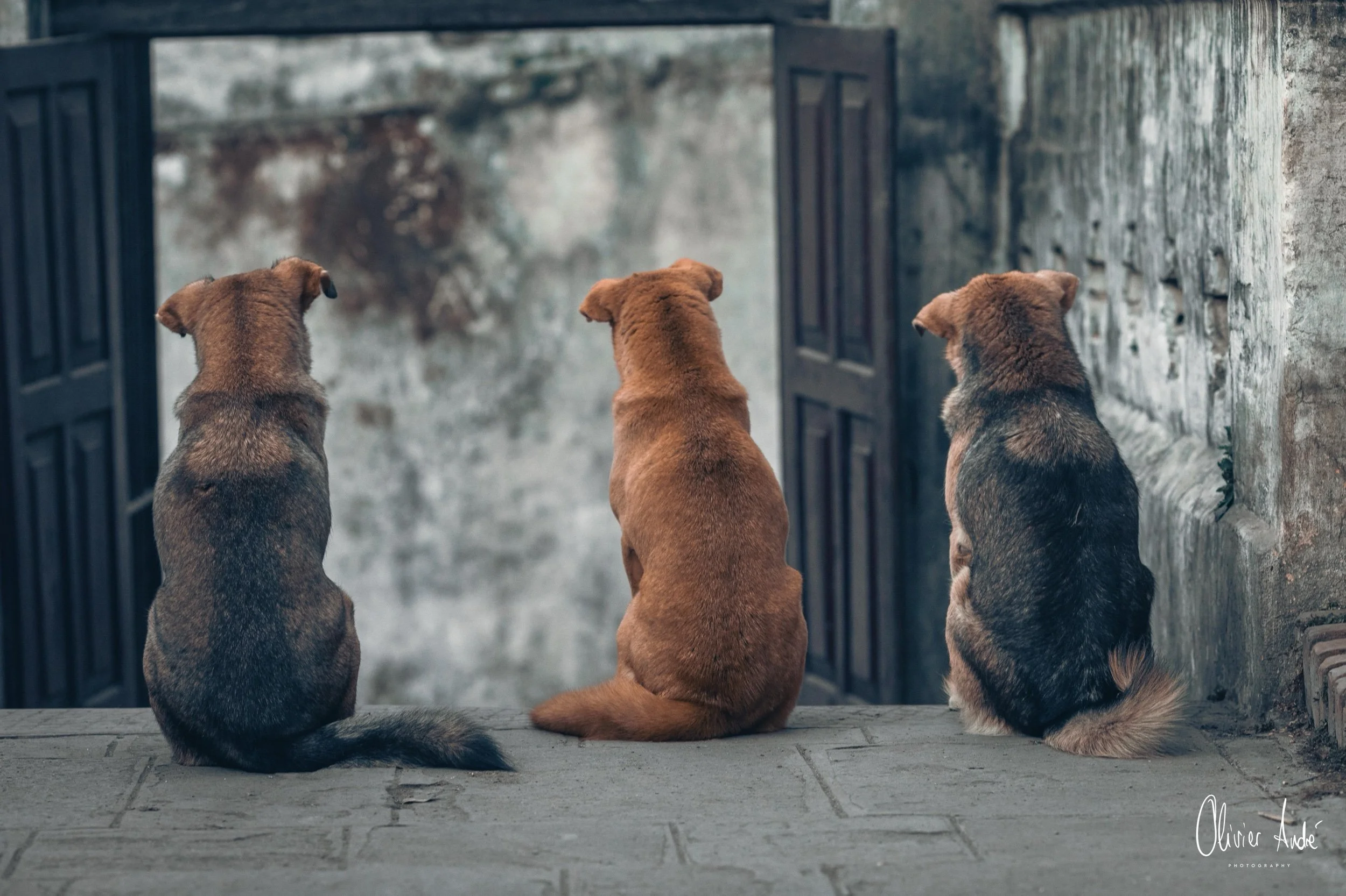 sans titre-6080.jpeg