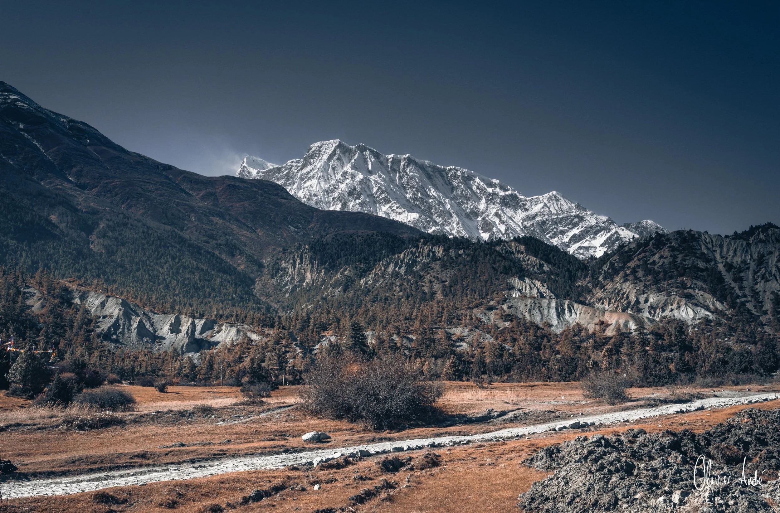 sans titre-3372.jpeg