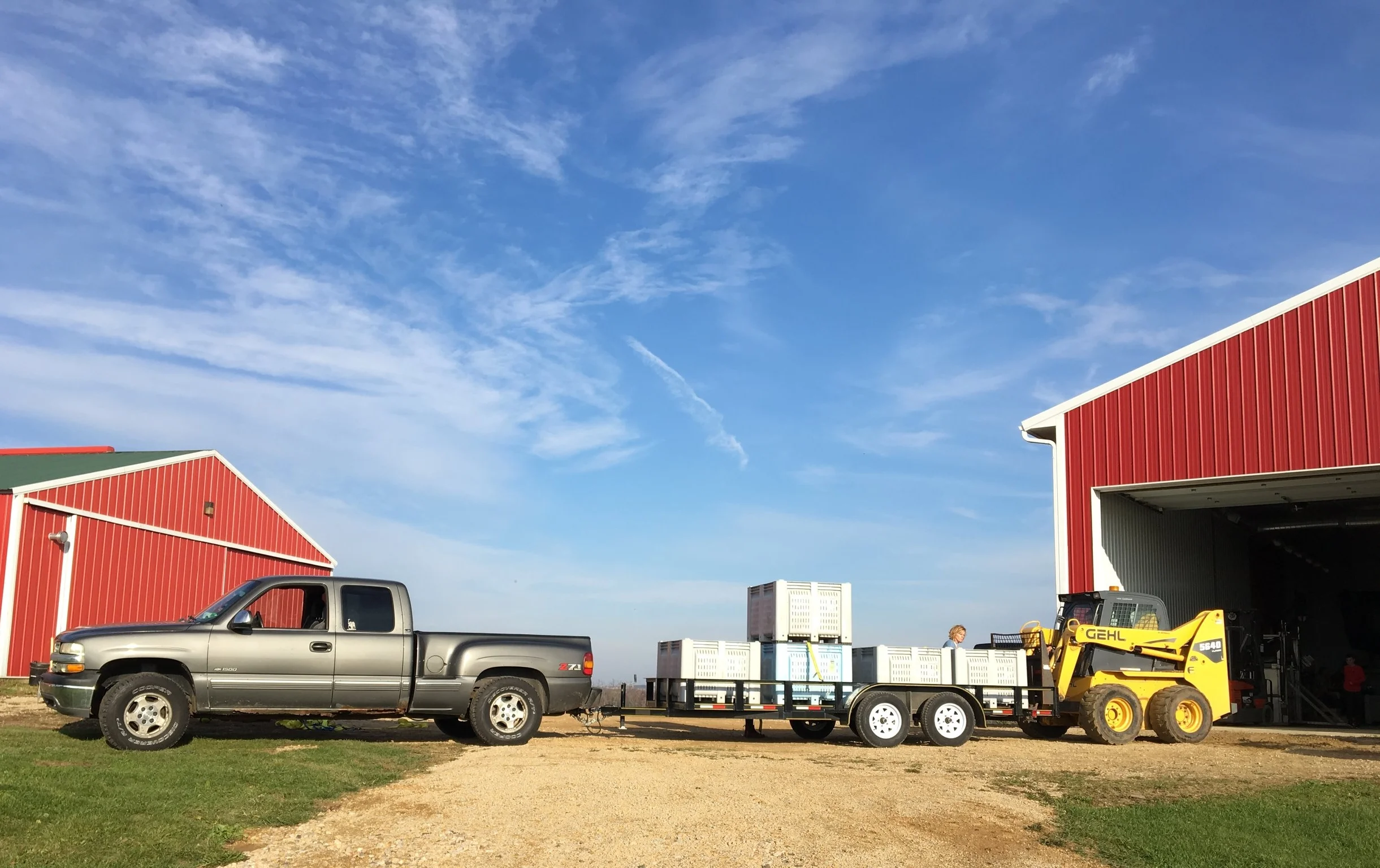 Our First Commercial Batch of Cider