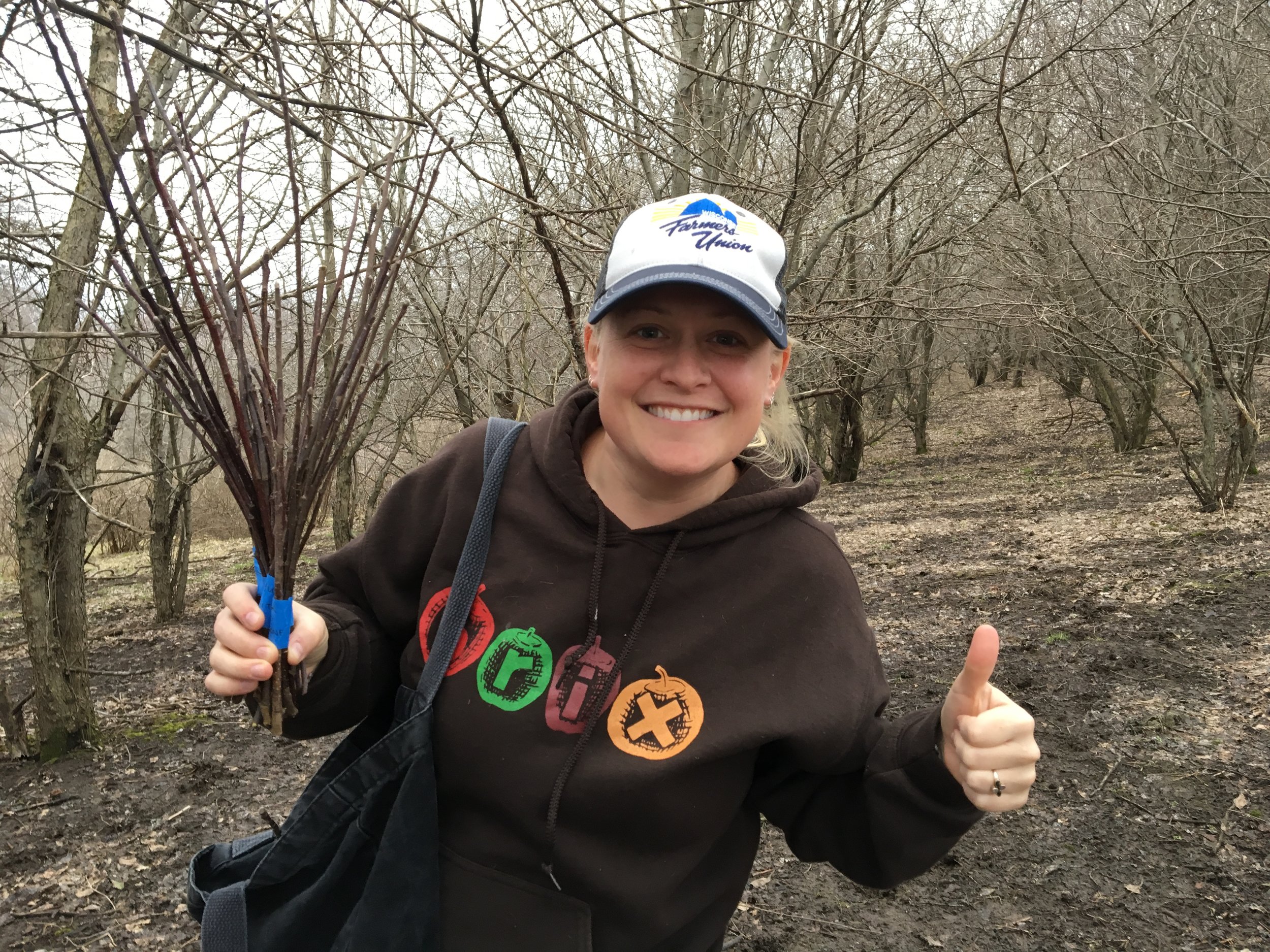 Taping Sticks Together