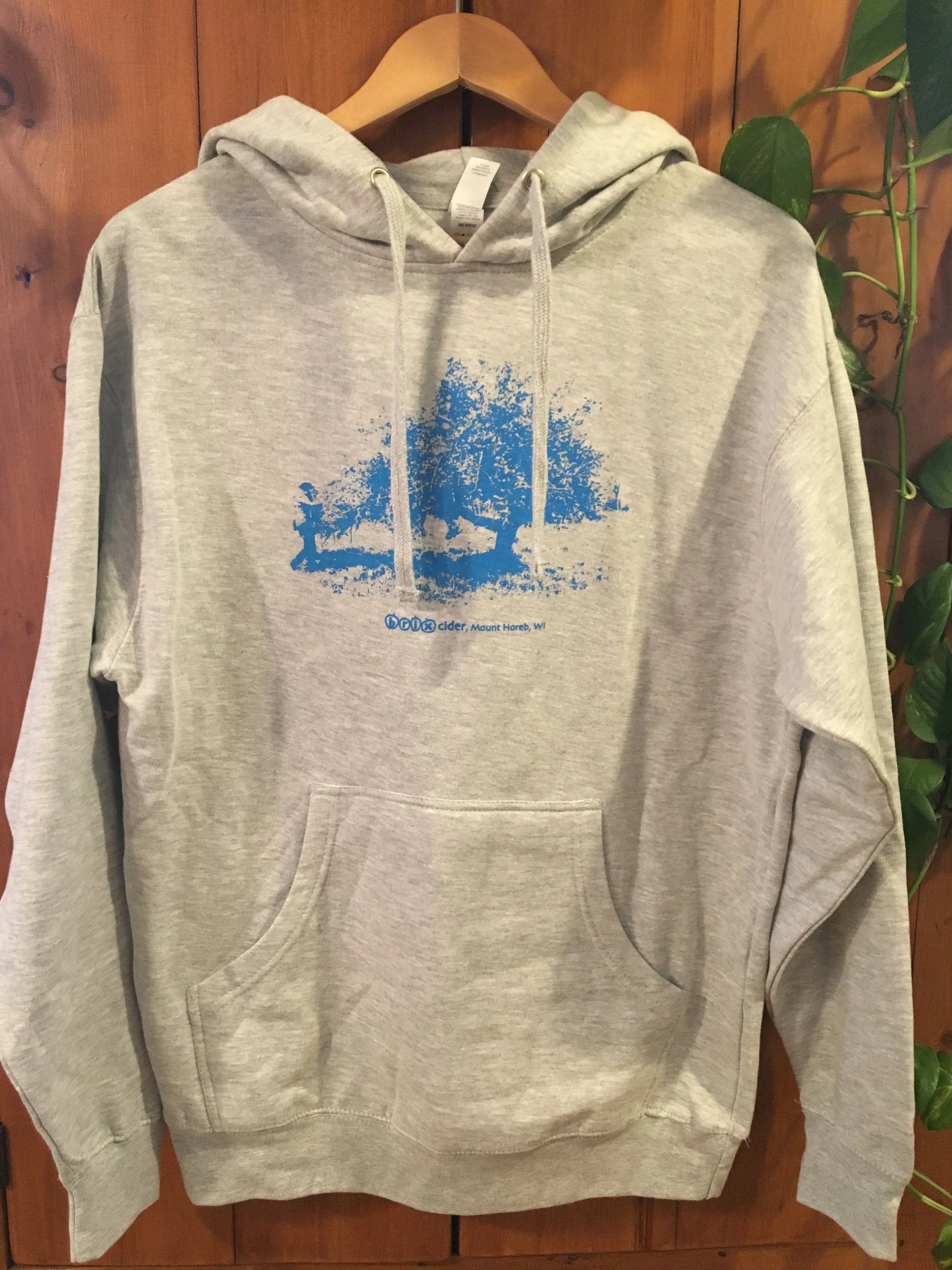 Hoodie - Ice Cider Image - unisex