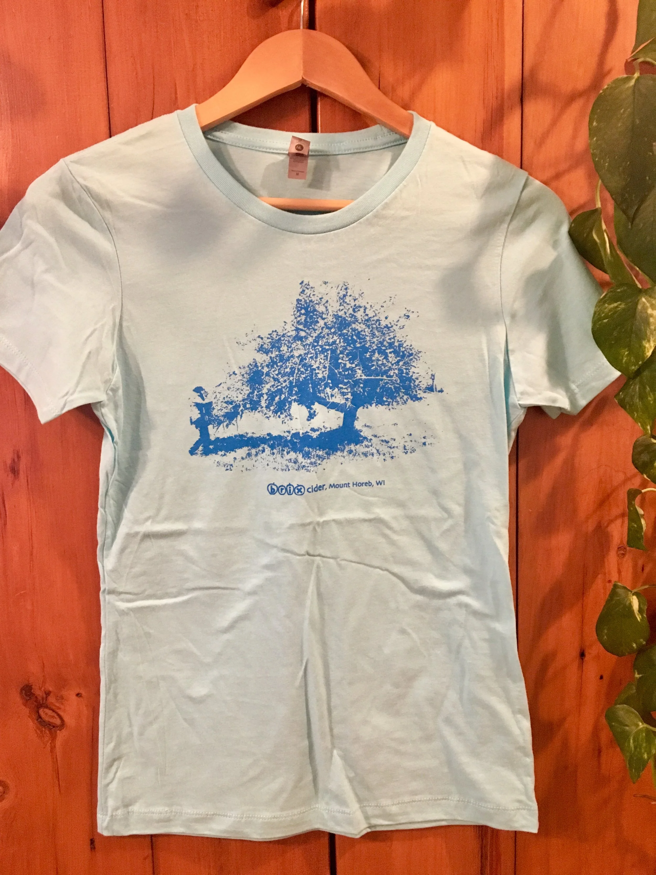 T-shirt - Ice Cider Image - Ladies cut