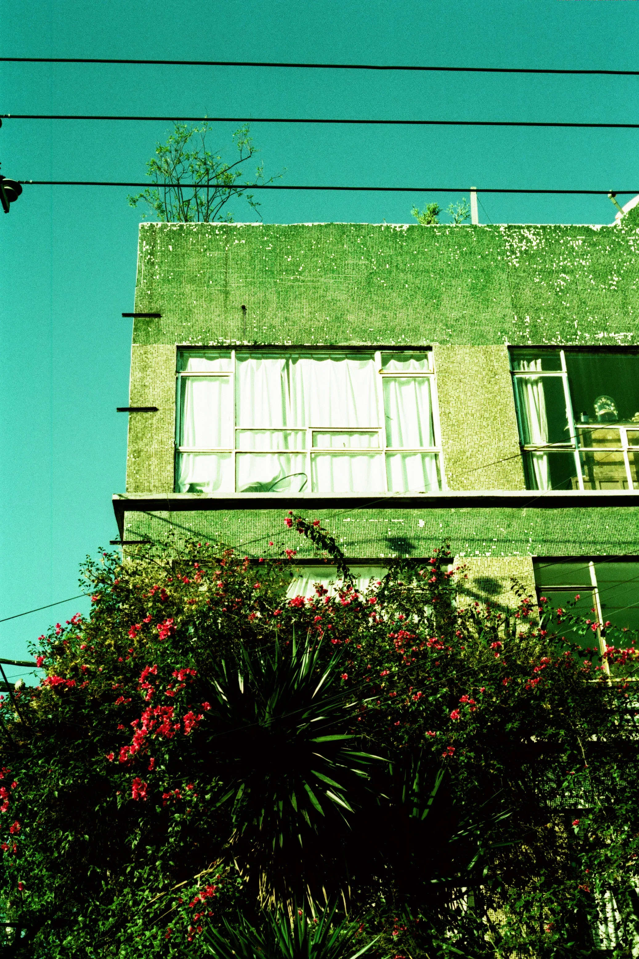 AZUL.jpg